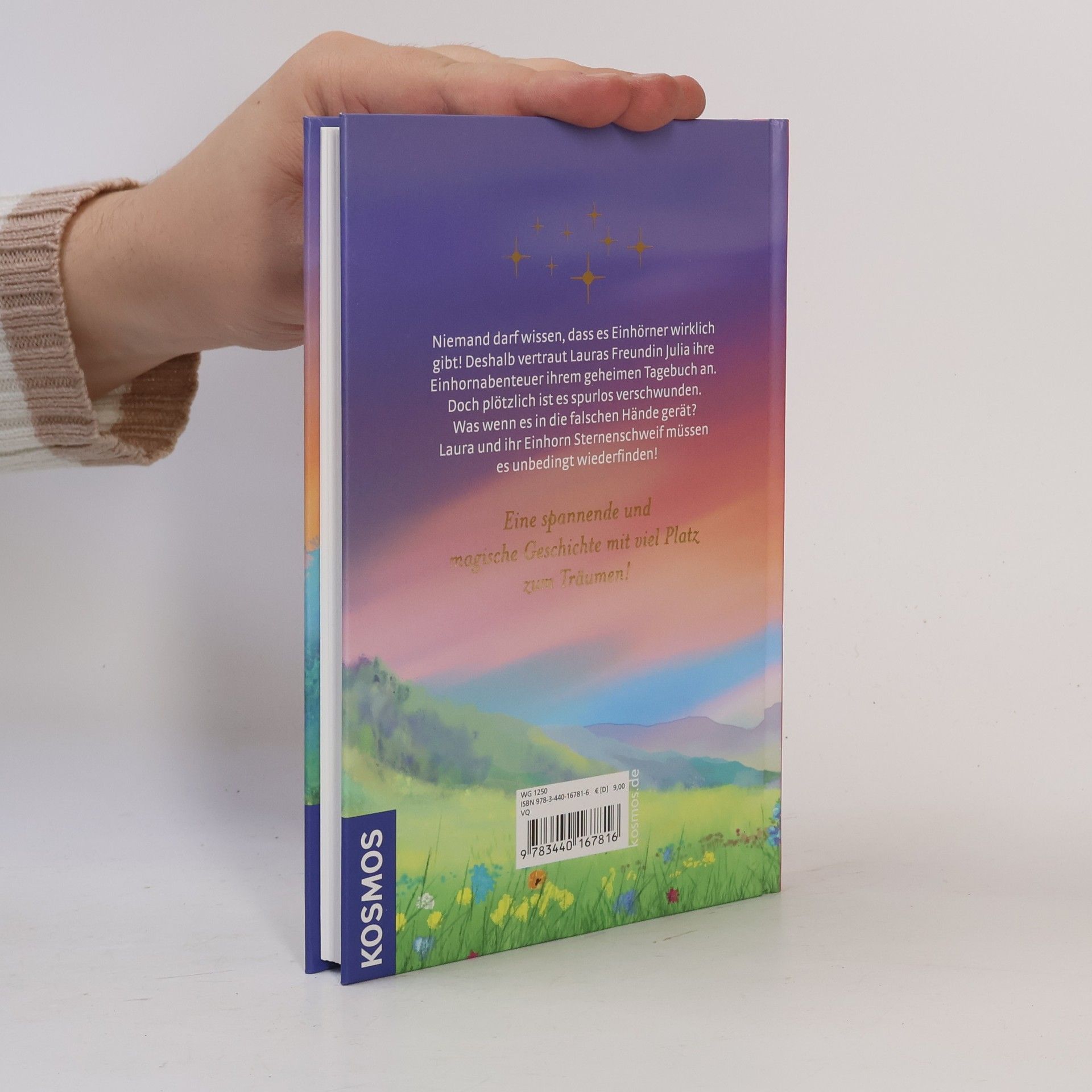 Anne Scheller Das verschwundene Tagebuch