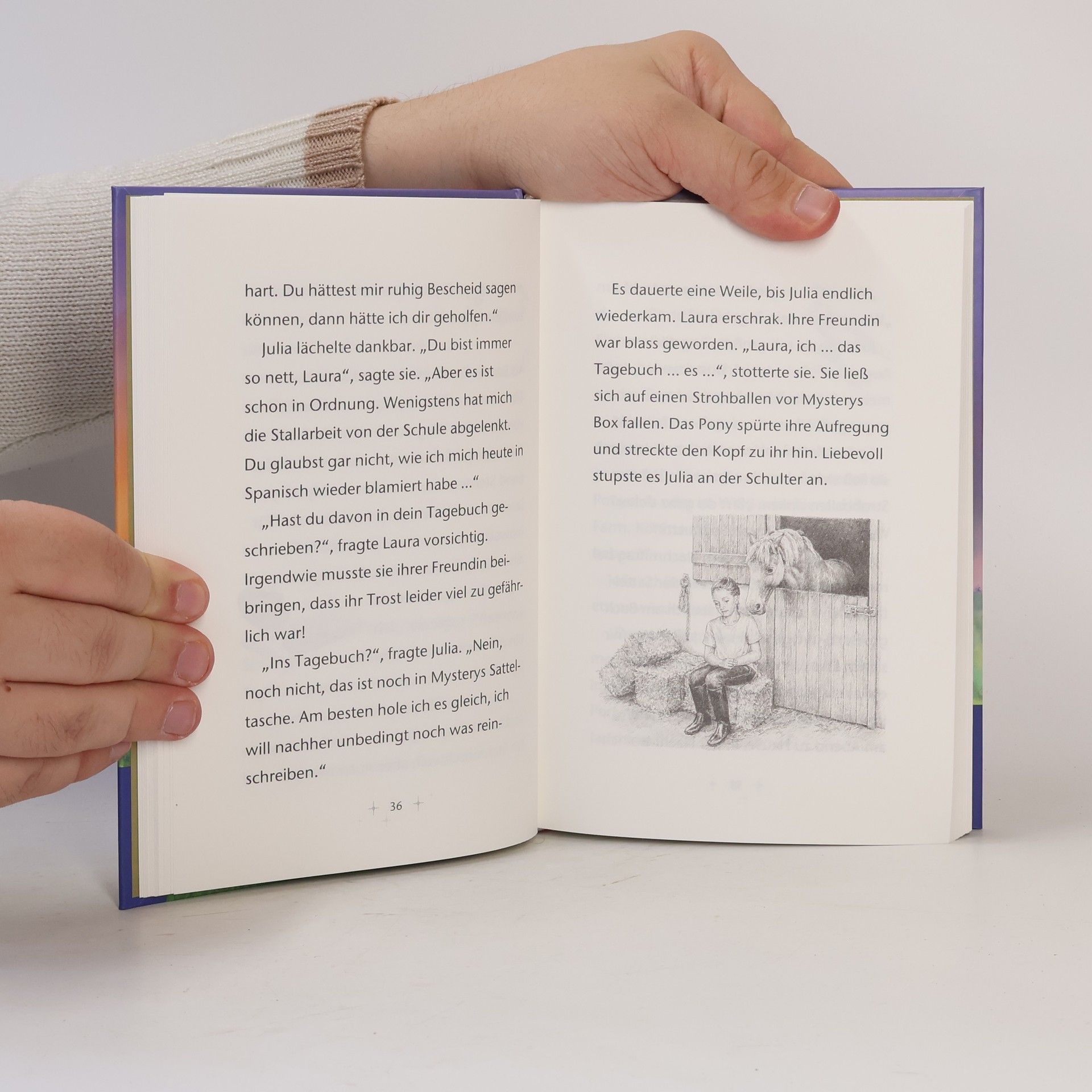 Anne Scheller Das verschwundene Tagebuch