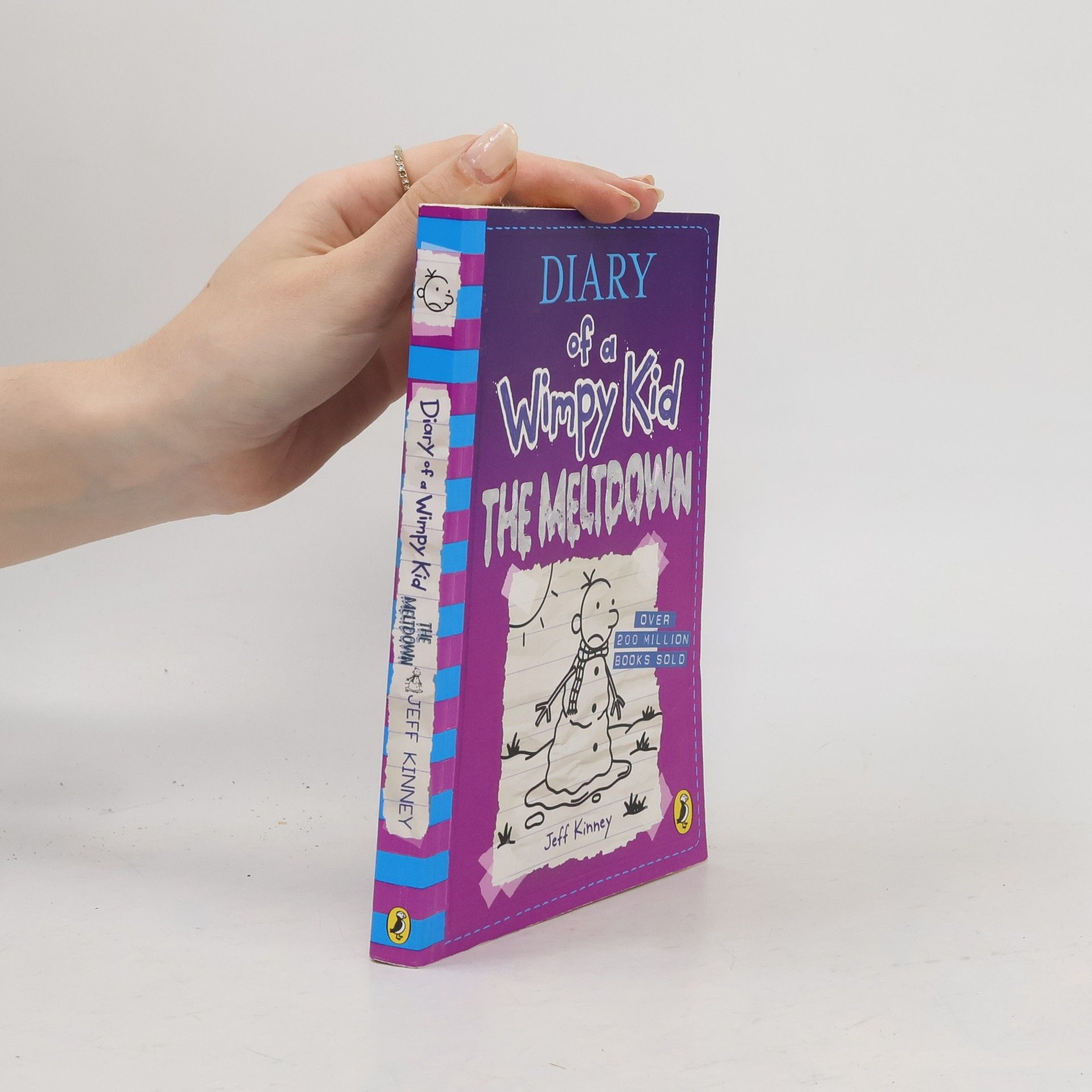 Jeff Kinney Diary of a Wimpy Kid. The meltdown