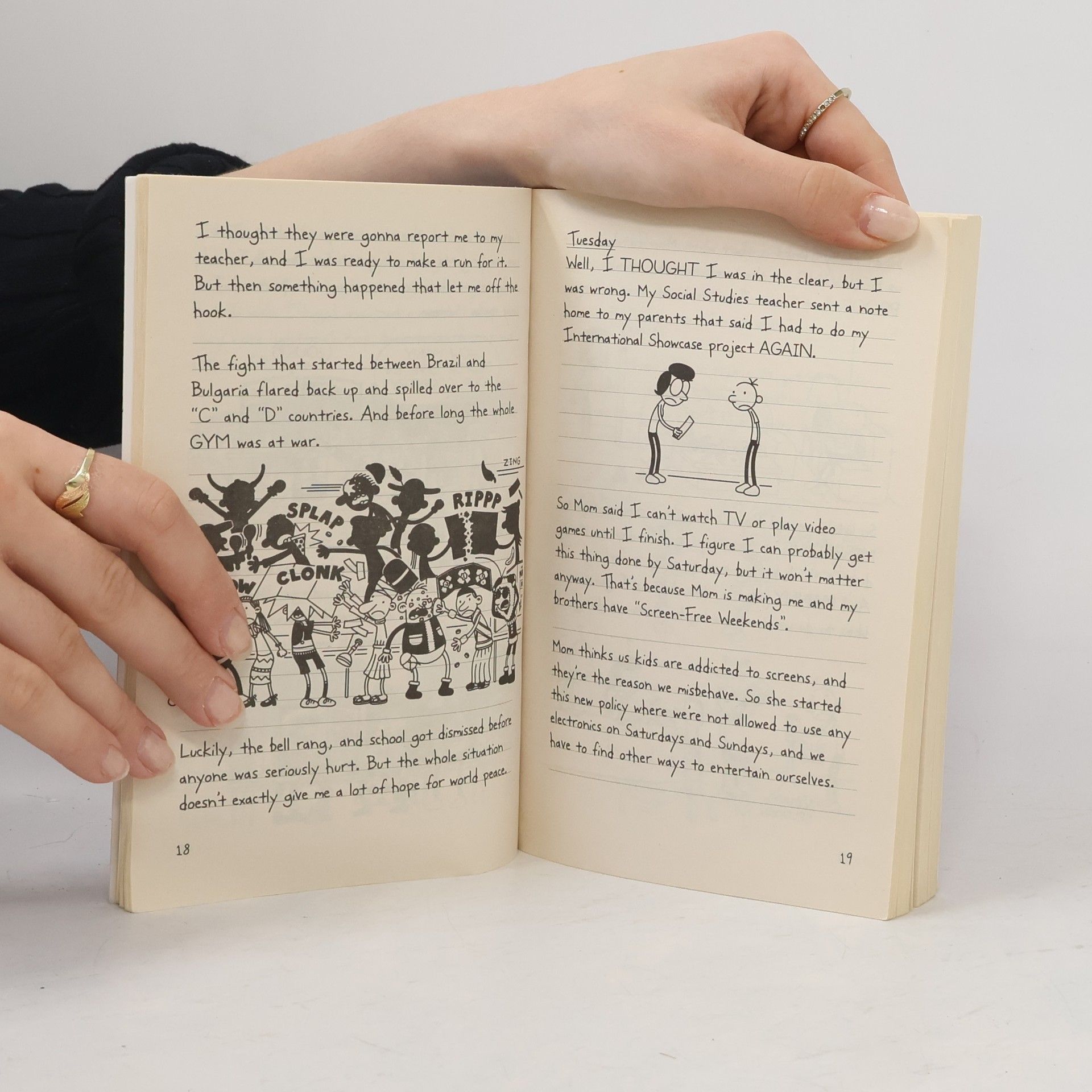 Jeff Kinney Diary of a Wimpy Kid. The meltdown
