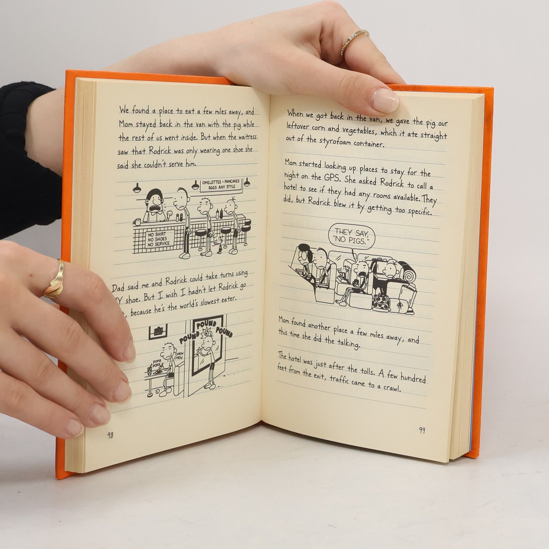 Jeff Kinney Diary of a Wimpy Kid 9 : The Long Haul
