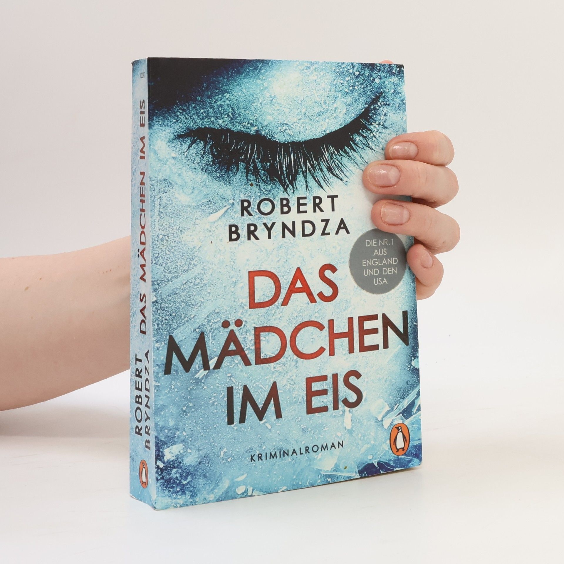 Robert Bryndza Das mädchen im eis