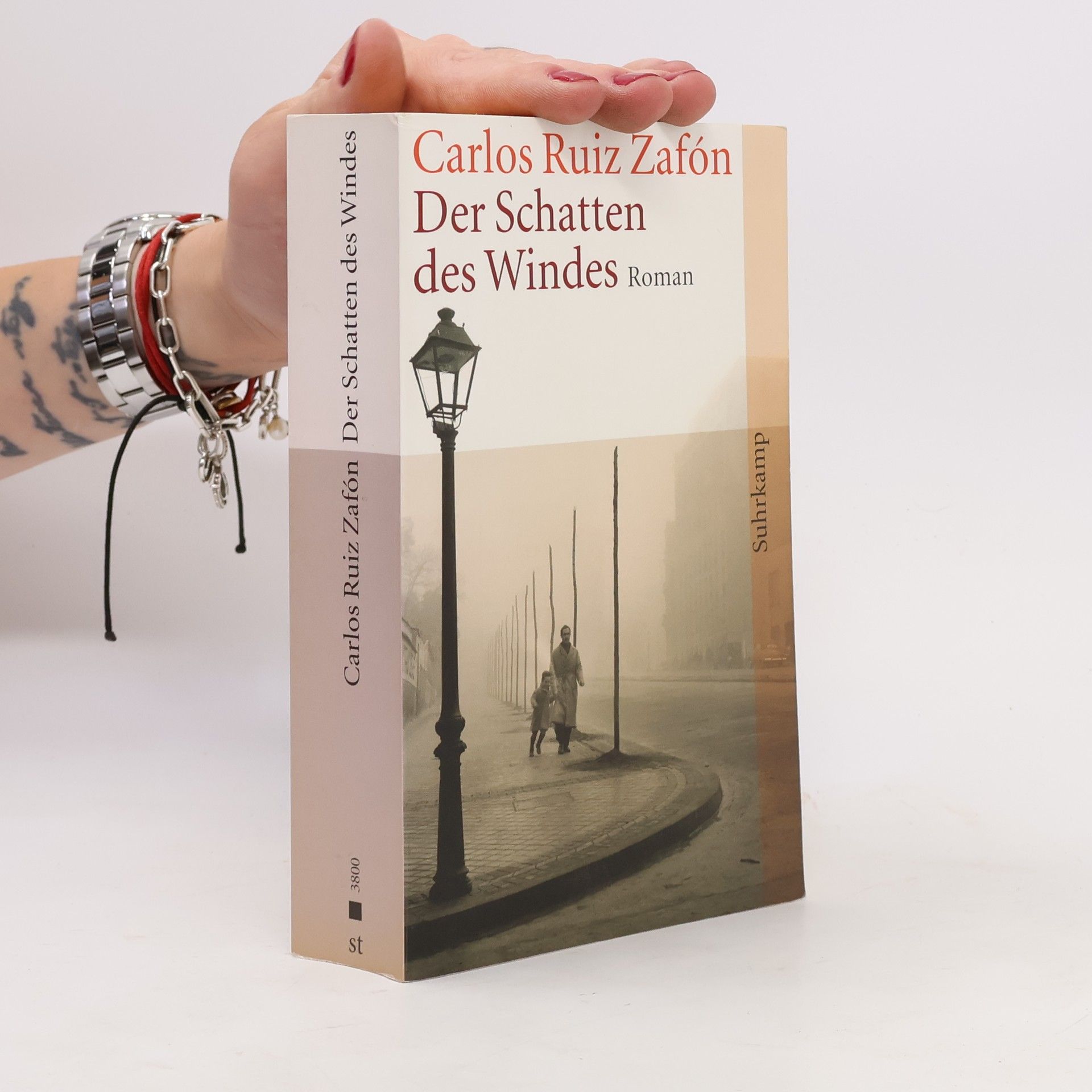Der Schatten des Windes