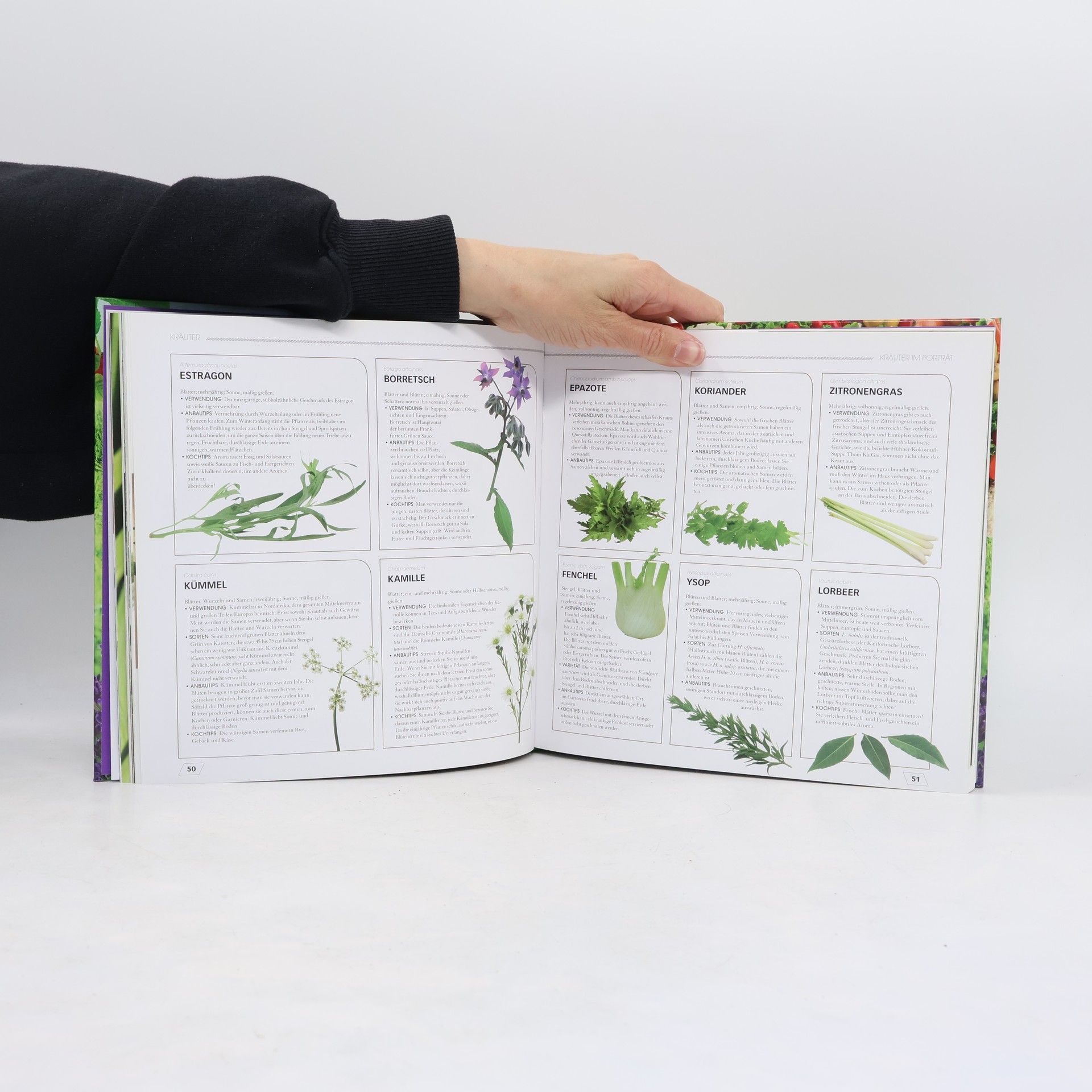 Virginia Hayes Mein Bio-Gourmet-Garten. Anpflanzen, Pflegen, Ernten und Genießen!
