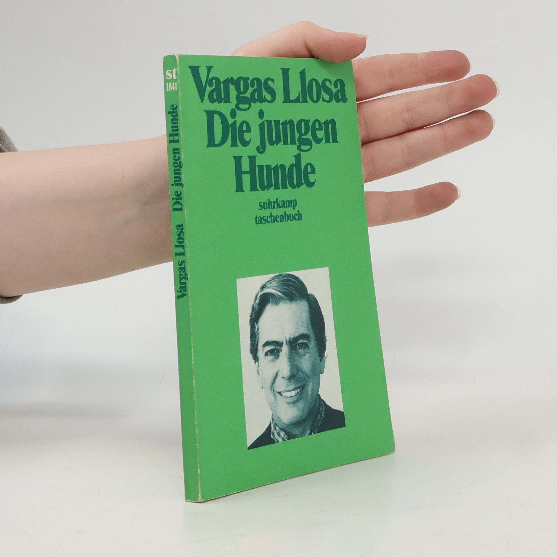 Mario Vargas Llosa Die jungen Hunde