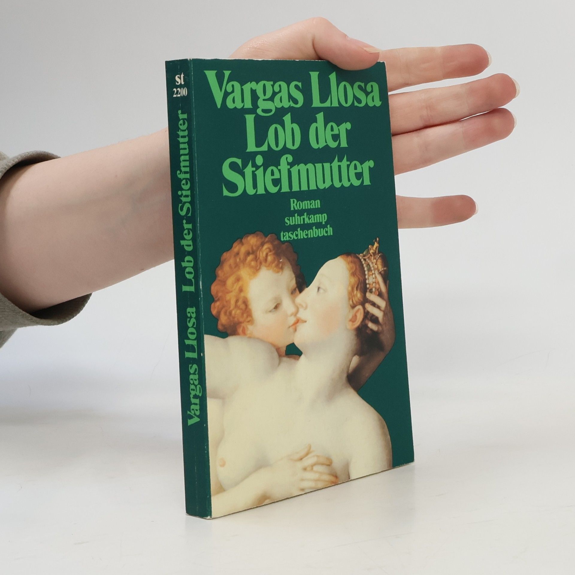 Mario Vargas Llosa Lob der Stiefmutter