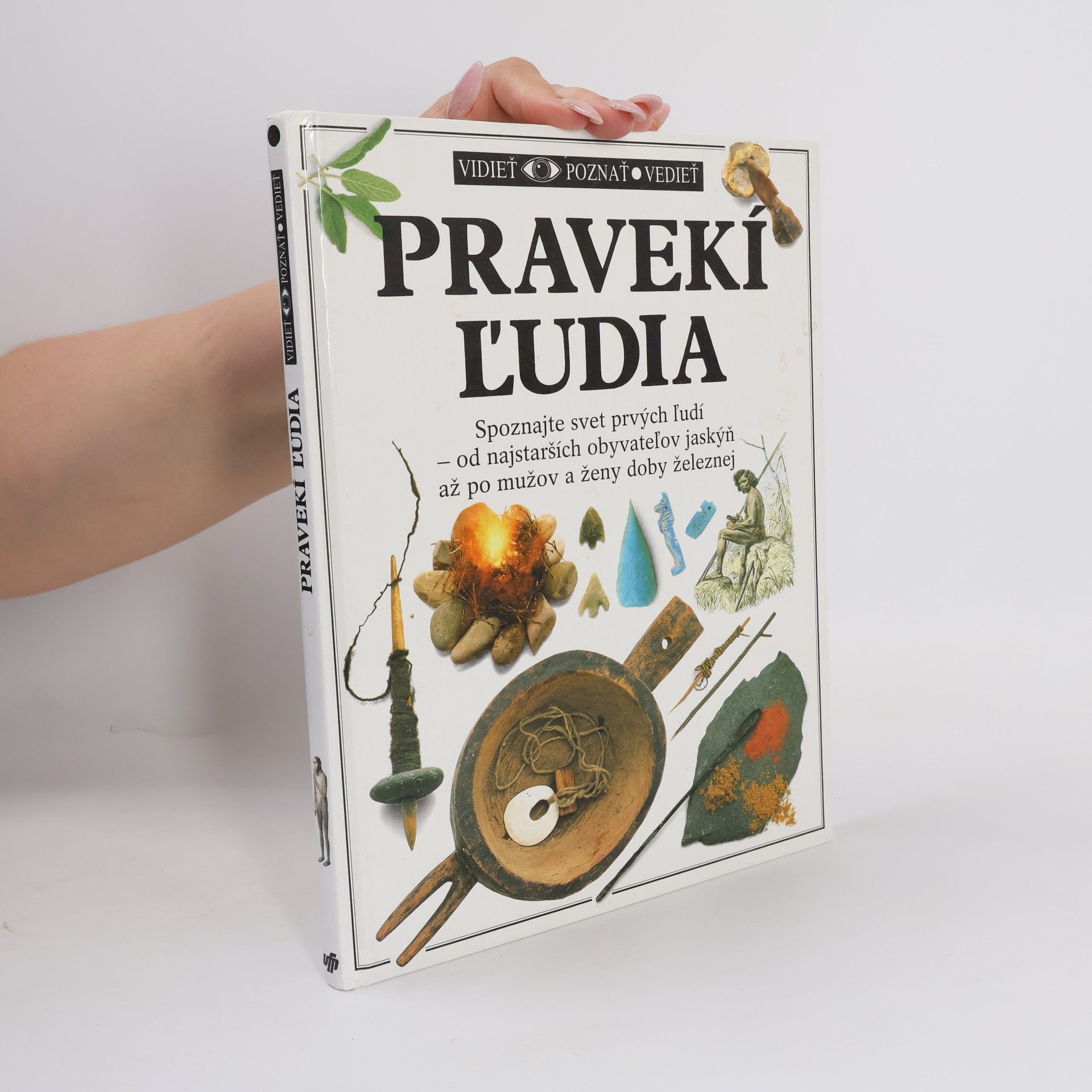 Collectif d'auteurs Pravekí ľudia