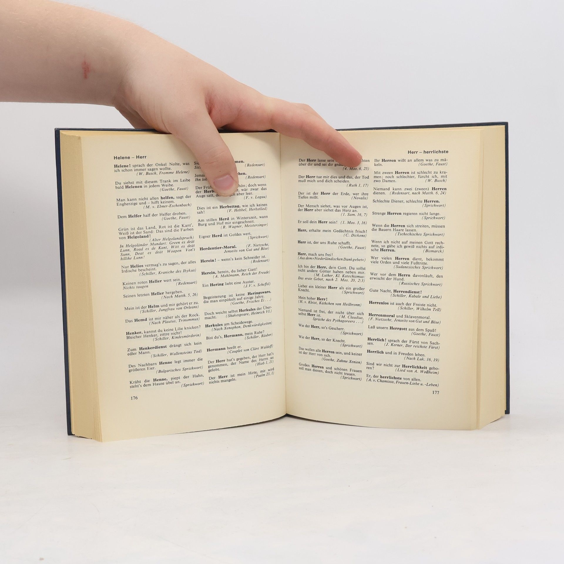 Gerhard Hellwig Das grosse Buch der Zitate