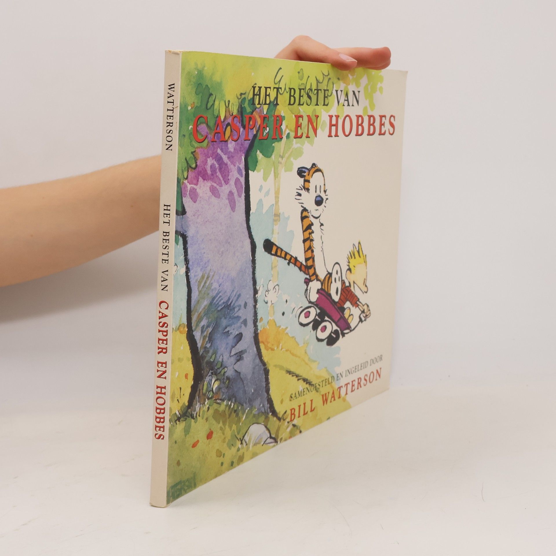Het beste van Casper en Hobbes
