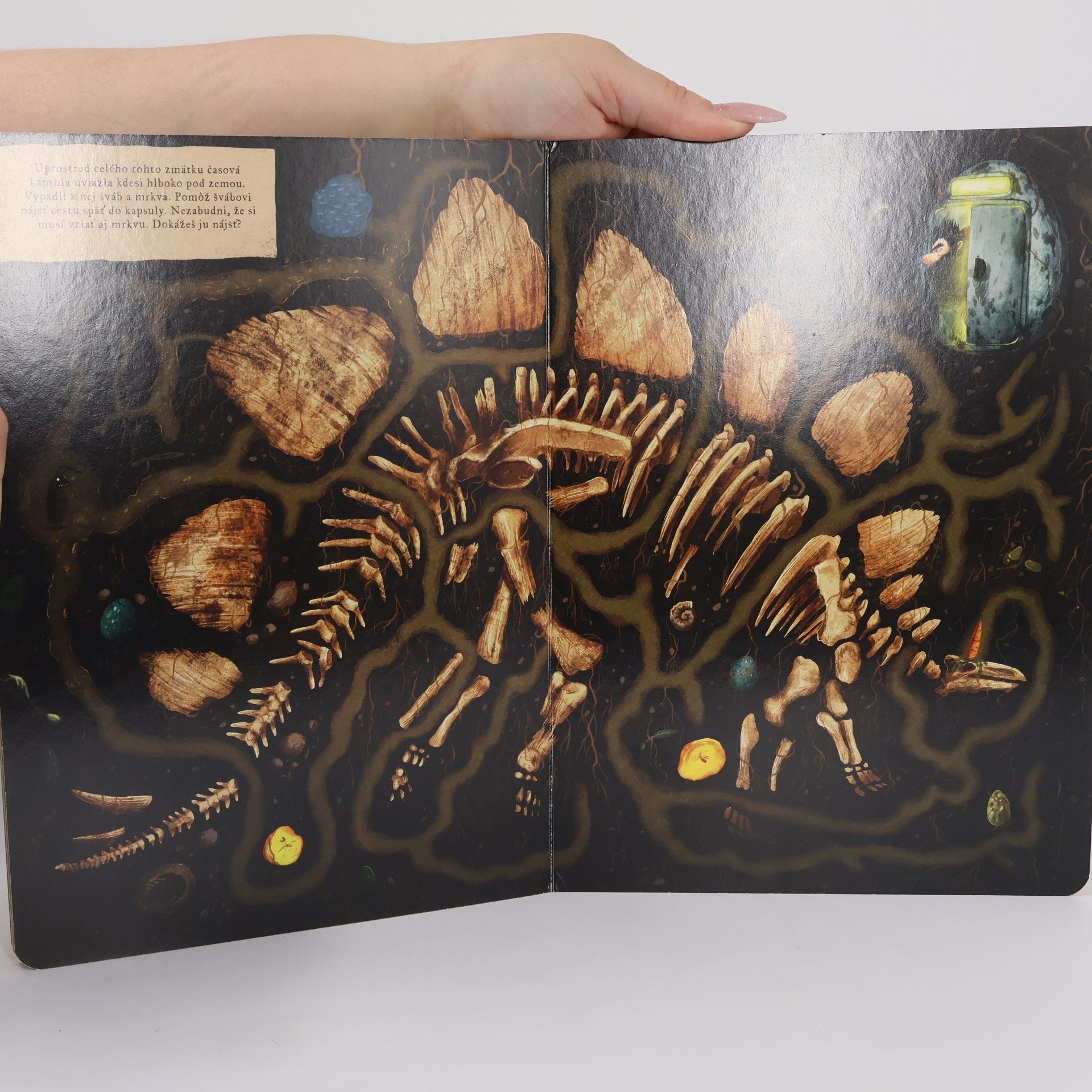 Emilia Dziubak Poviem ti, čo robia dinosaury