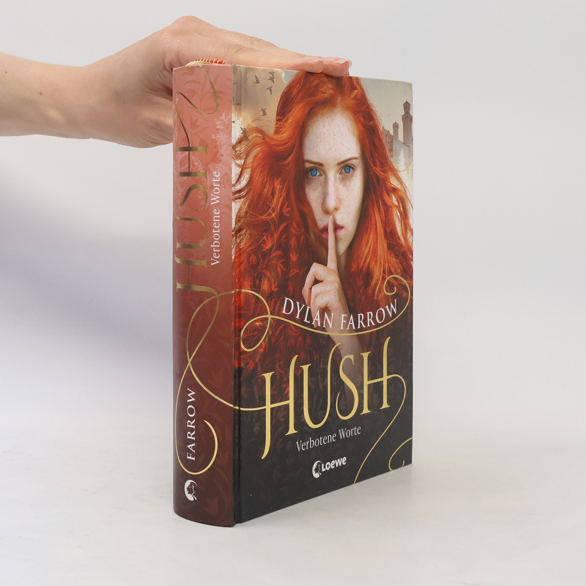 Dylan Farrow Hush - Verbotene Worte
