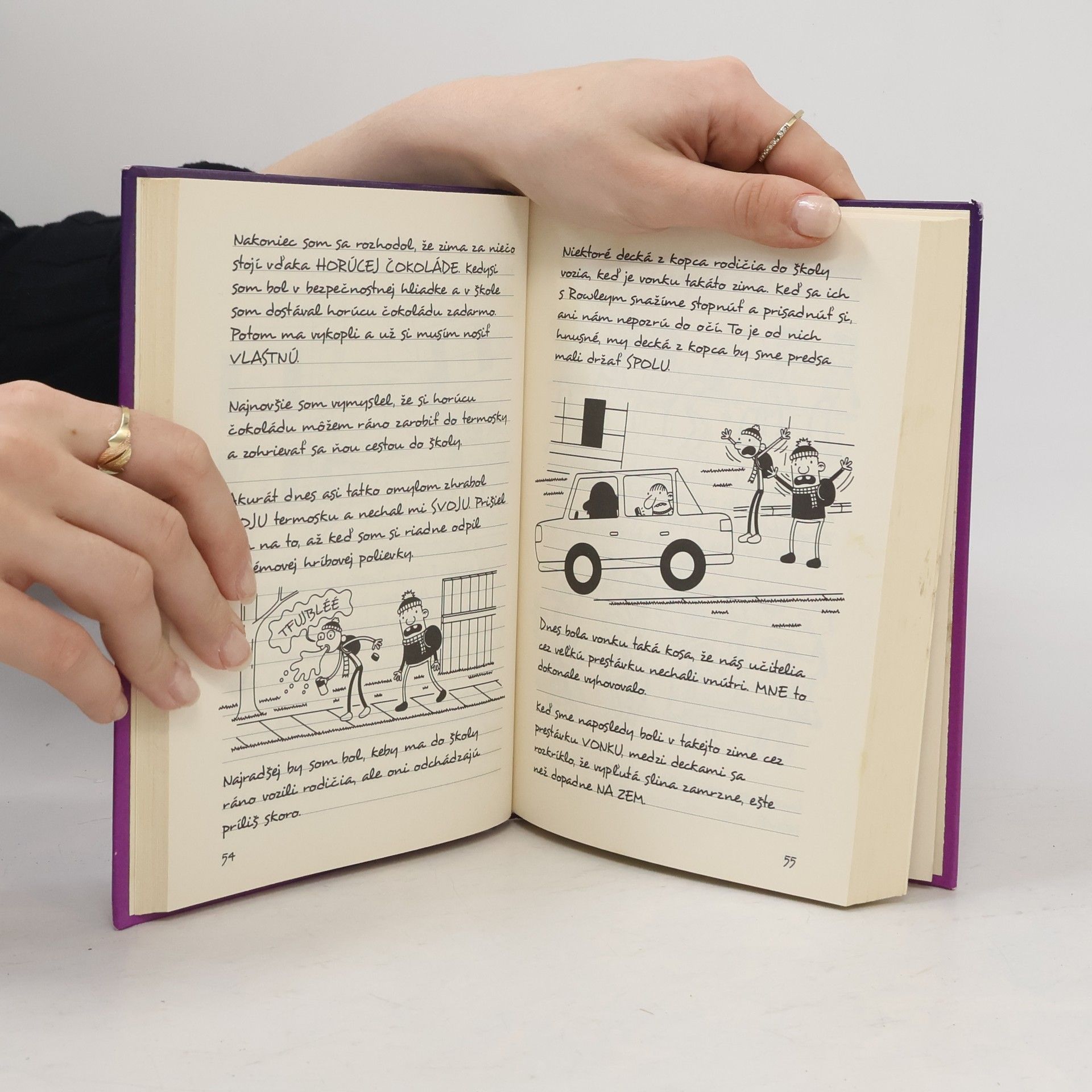 Jeff Kinney Denník odvážného bojka. Snehová bitka