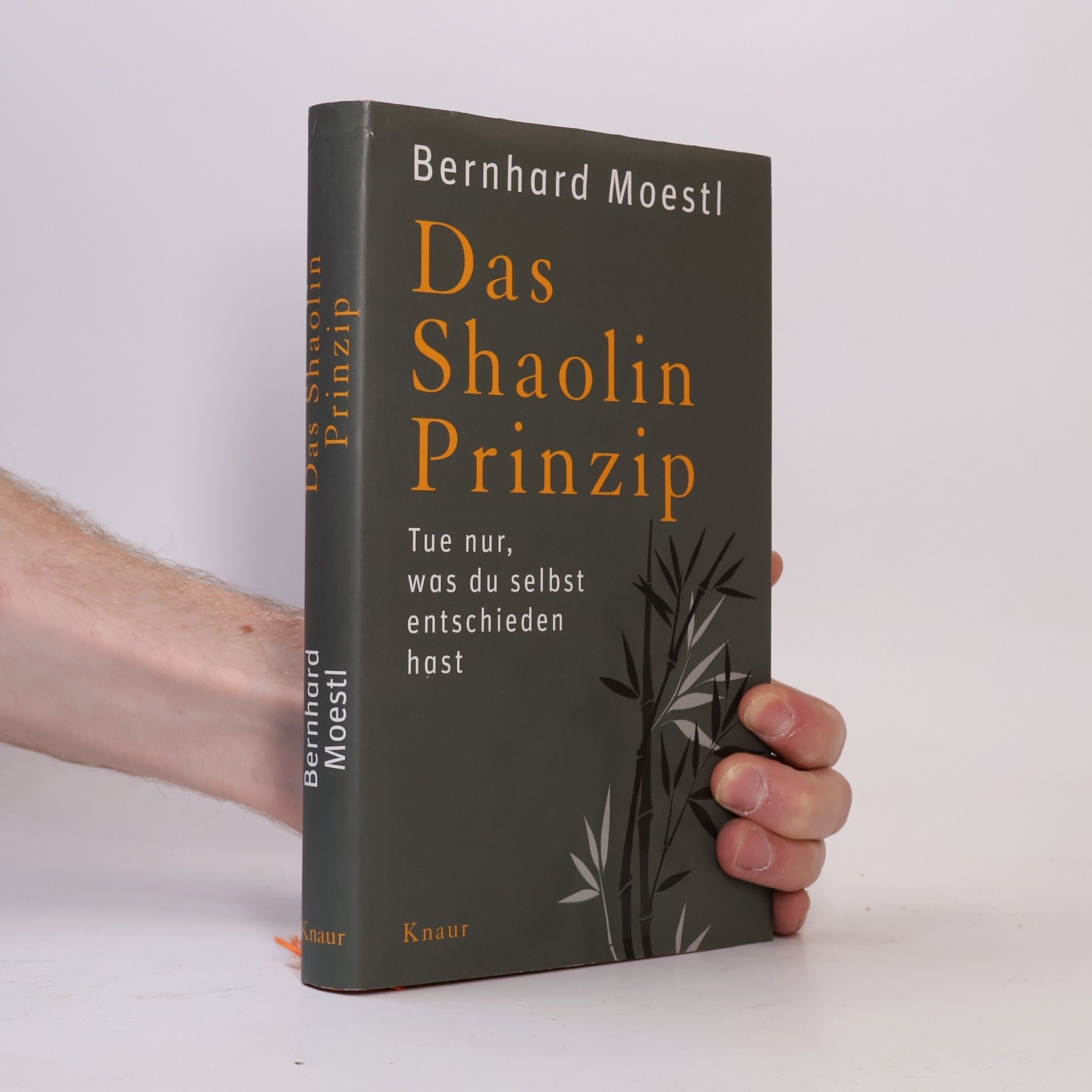 Bernhard Moestl Das Shaolin-Prinzip