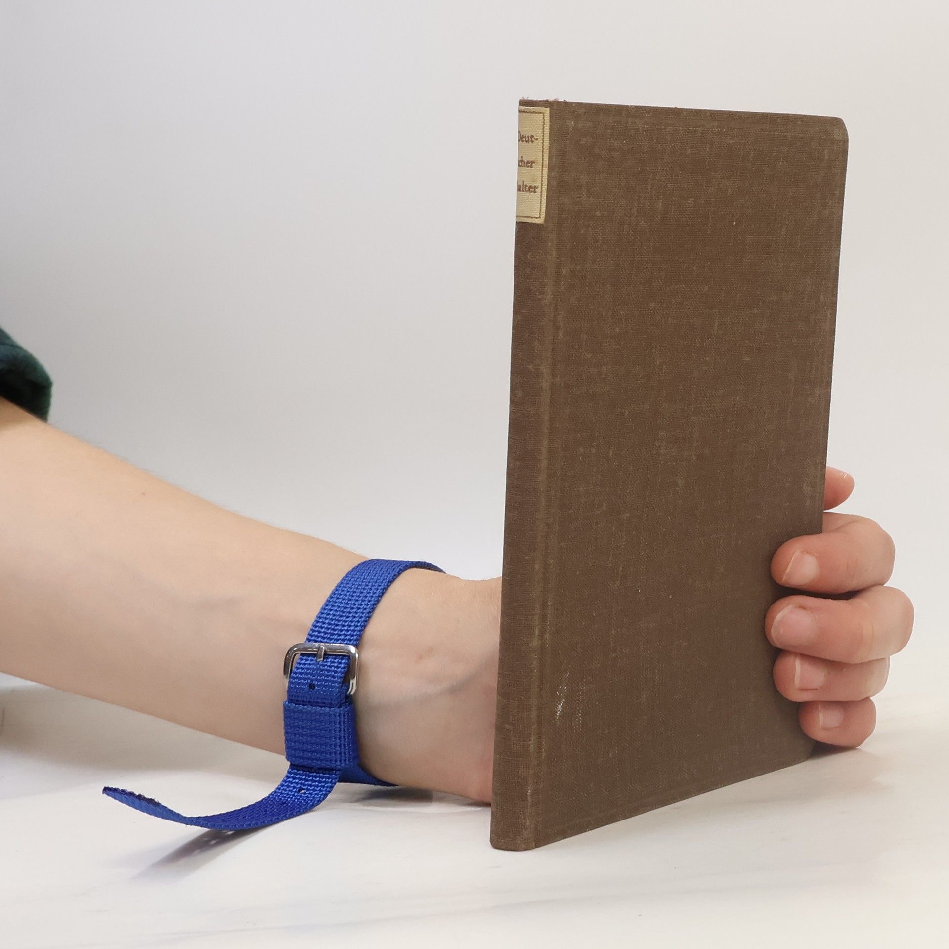 Kolektiv autorů Deutscher Psalter