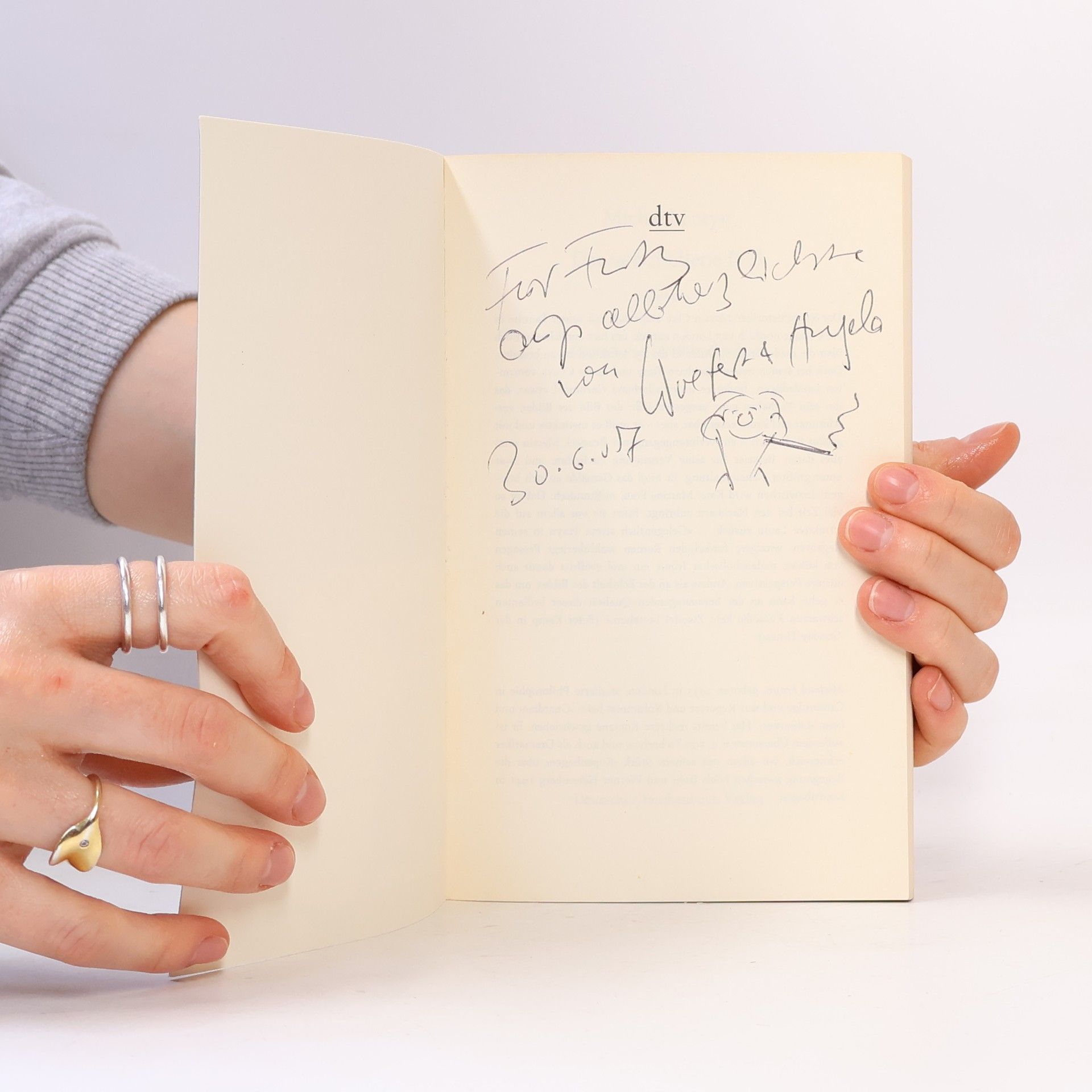 Michael Frayn Das verschollene Bild