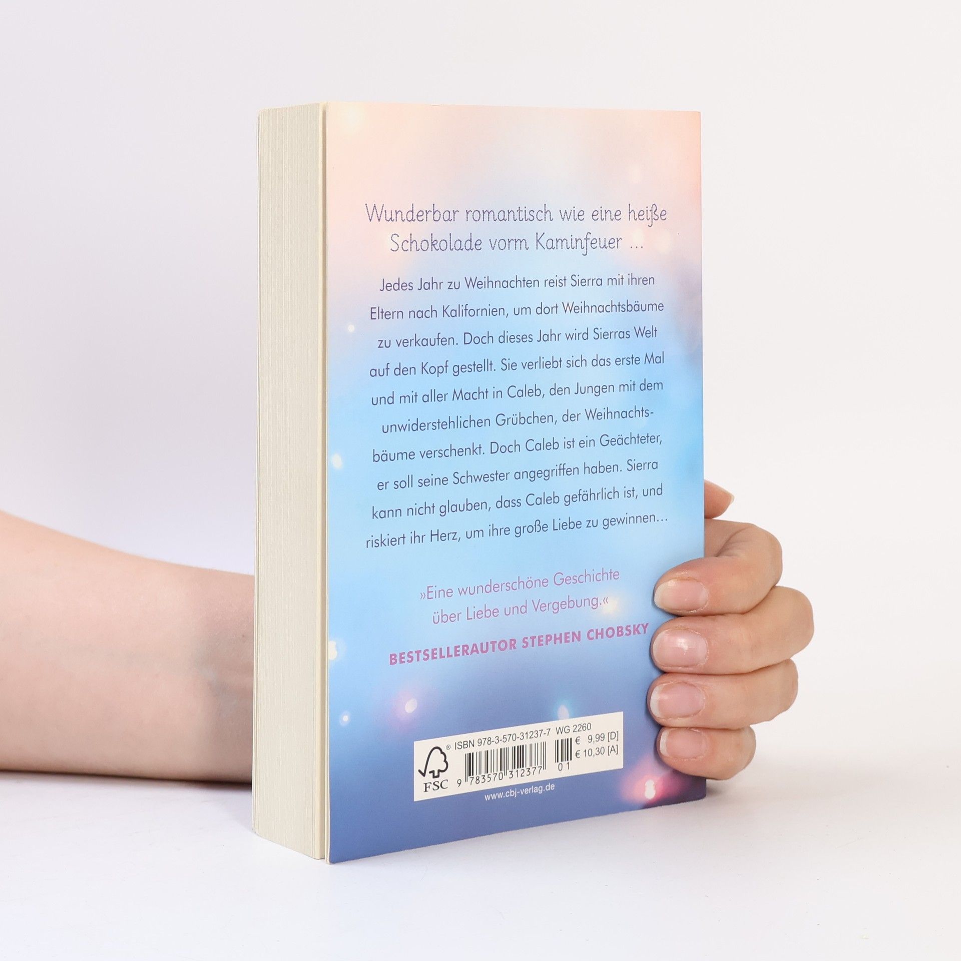 Jay Asher Dein leuchten