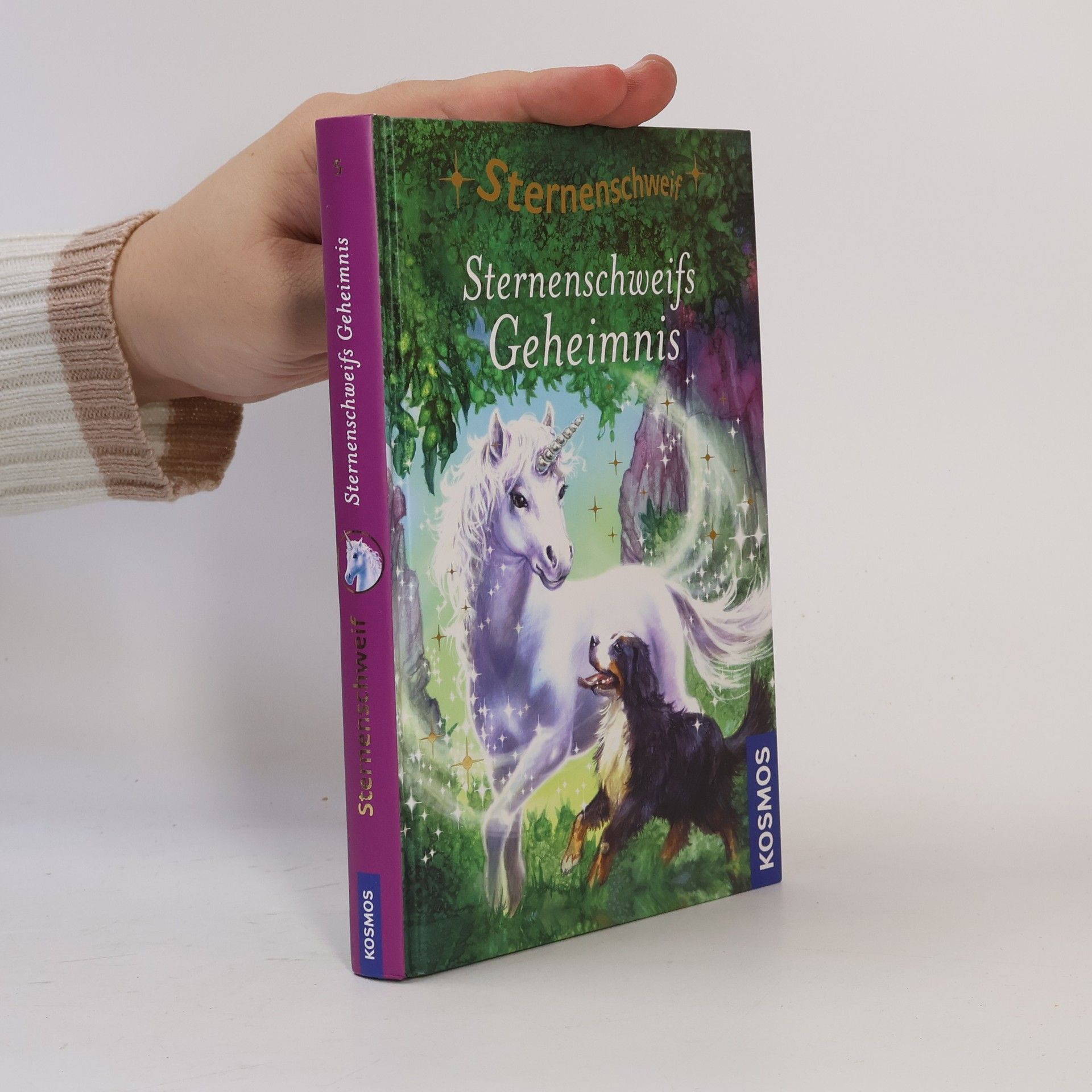 Linda Chapman Sternenschweifs Geheimnis