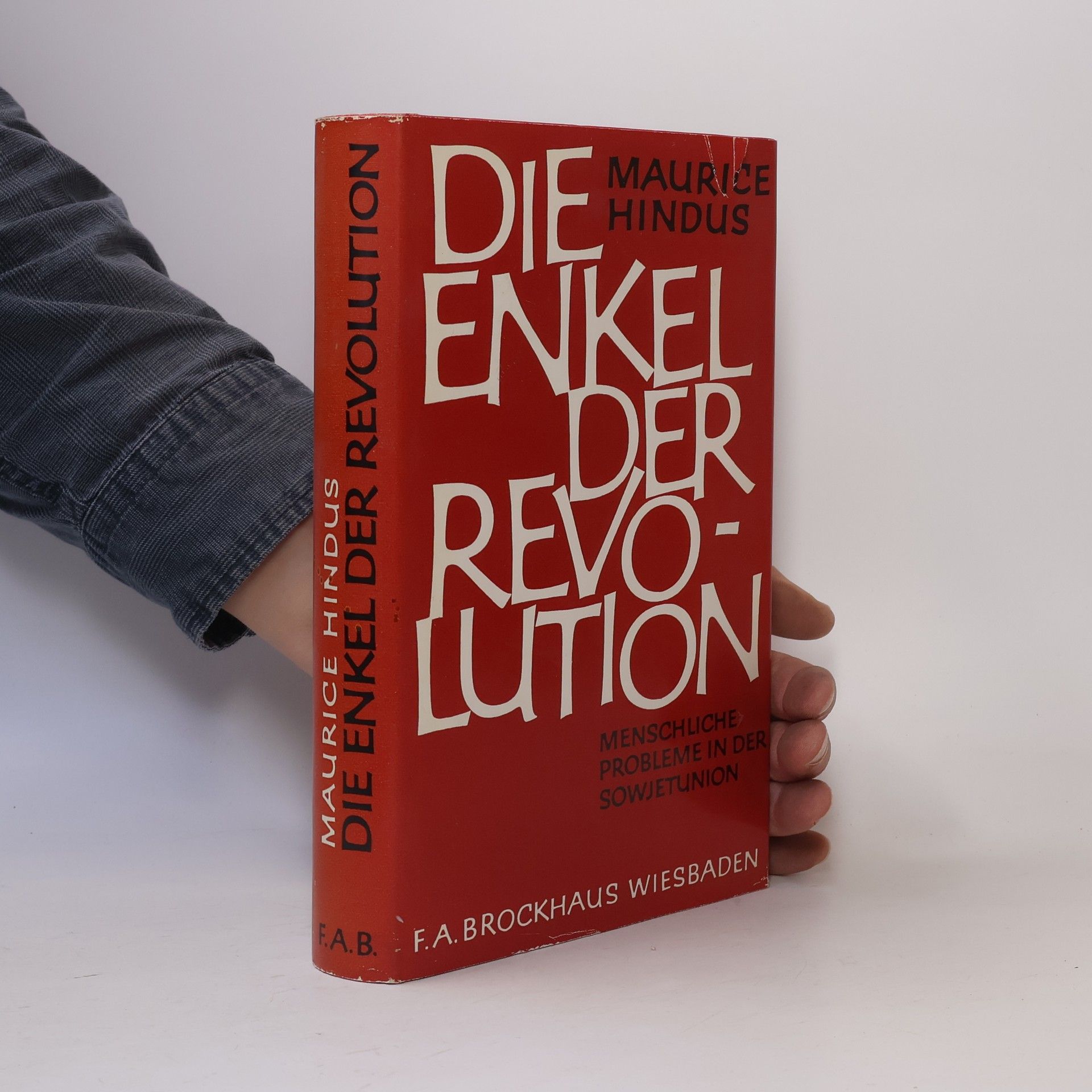 Maurice Gerschon Hindus Die Enkel der Revolution