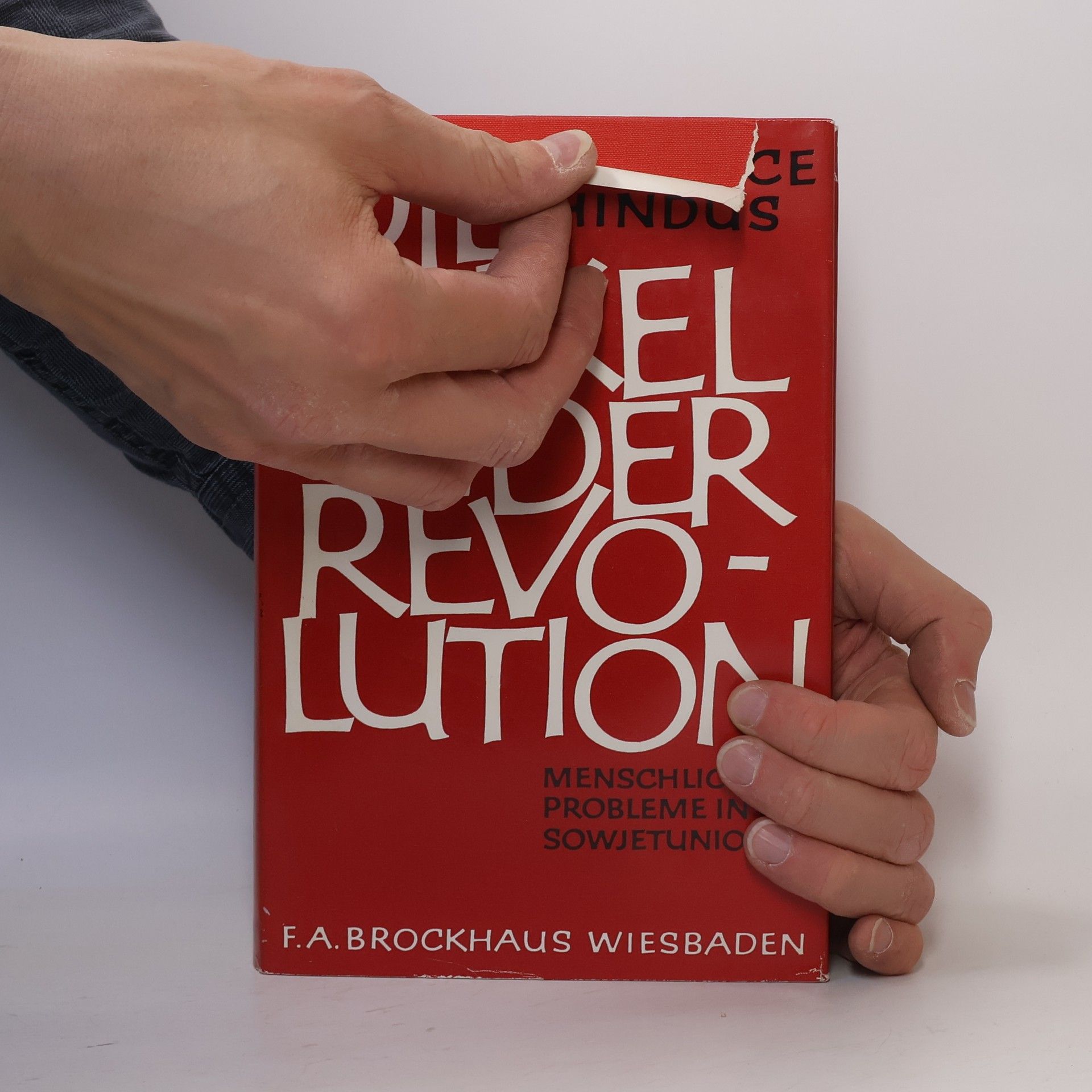 Maurice Gerschon Hindus Die Enkel der Revolution