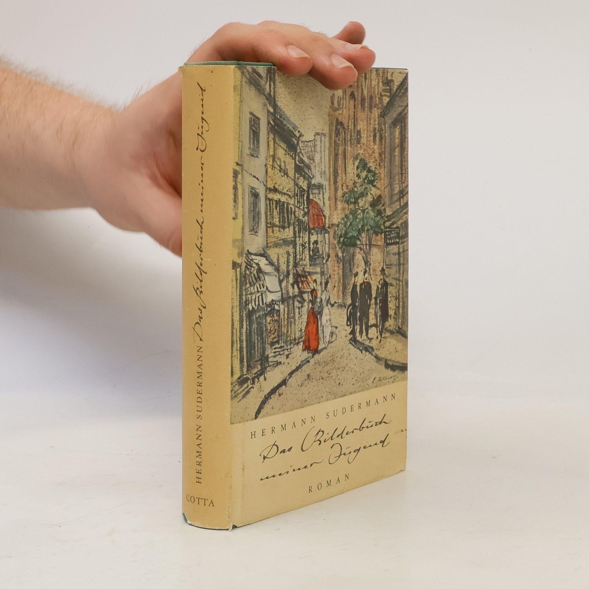 Hermann Südermann Das Bilderbuch meiner Jugend