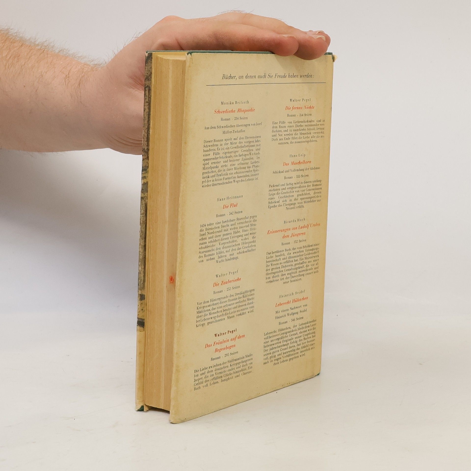 Hermann Südermann Das Bilderbuch meiner Jugend