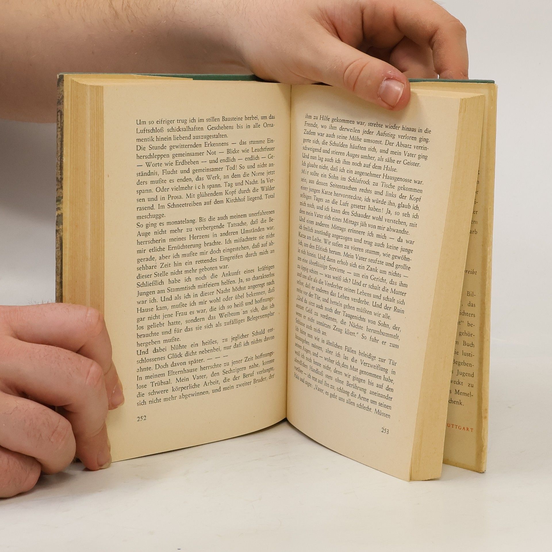 Hermann Südermann Das Bilderbuch meiner Jugend