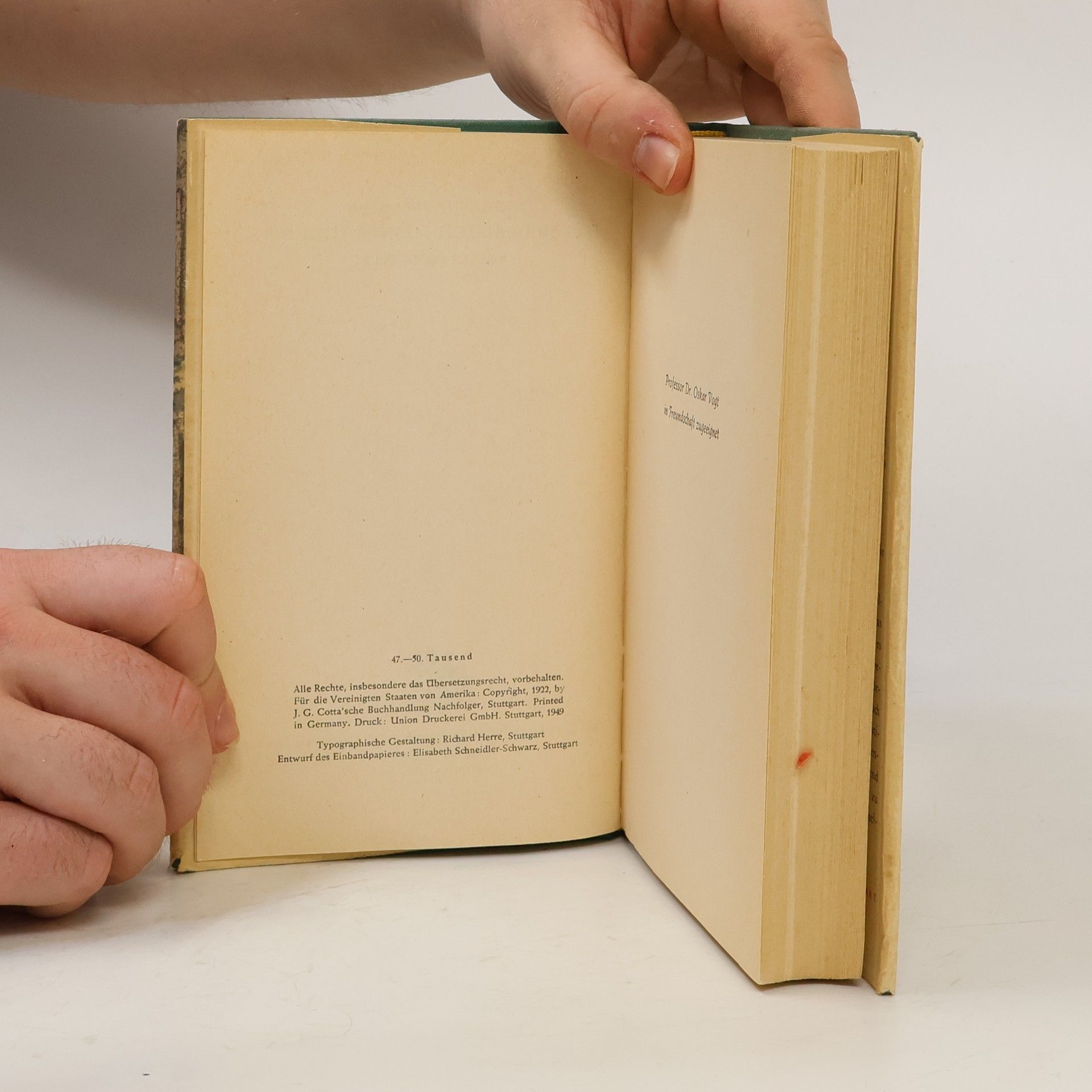 Hermann Südermann Das Bilderbuch meiner Jugend