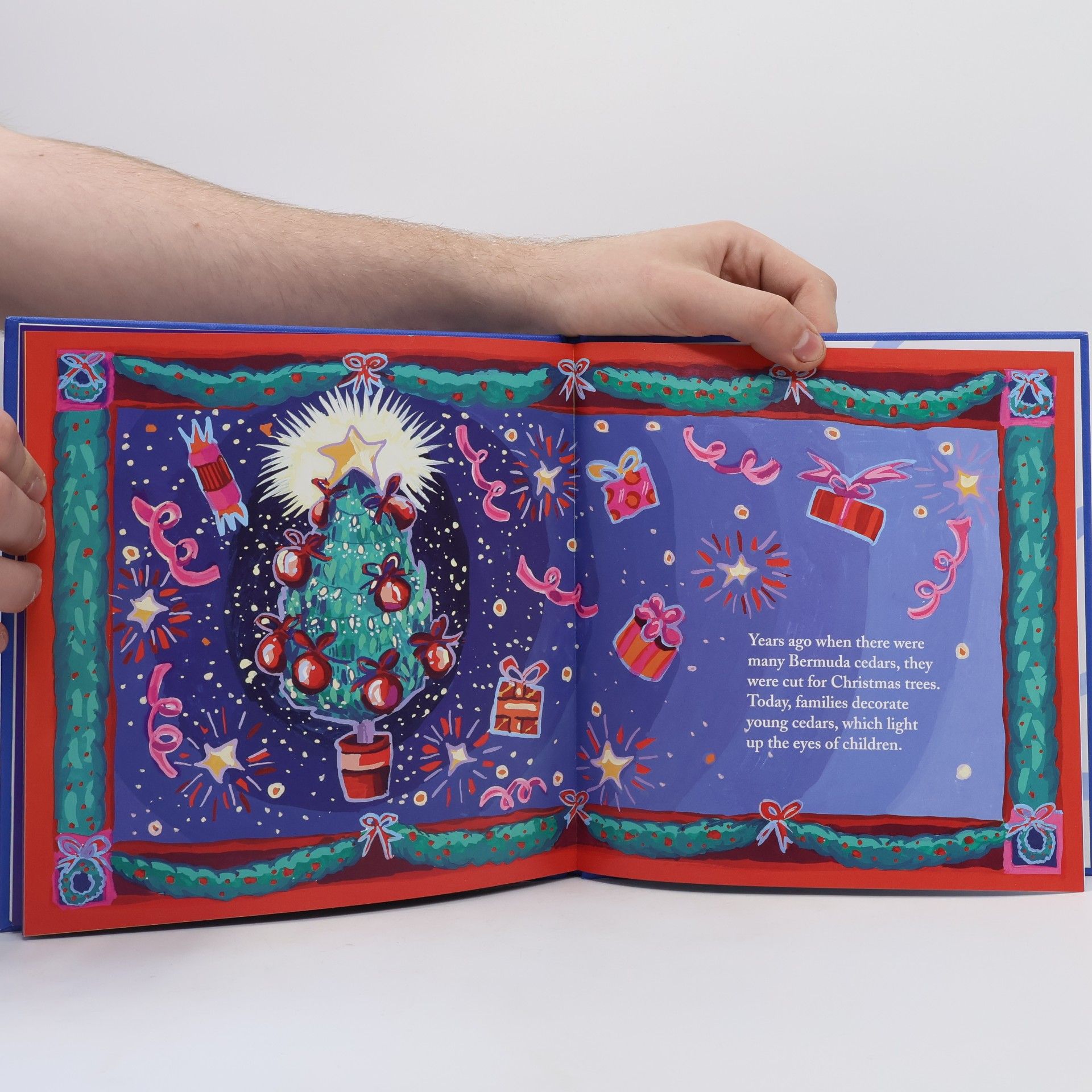 Collectif d'auteurs The Story of the Bermuda Cedar Tree