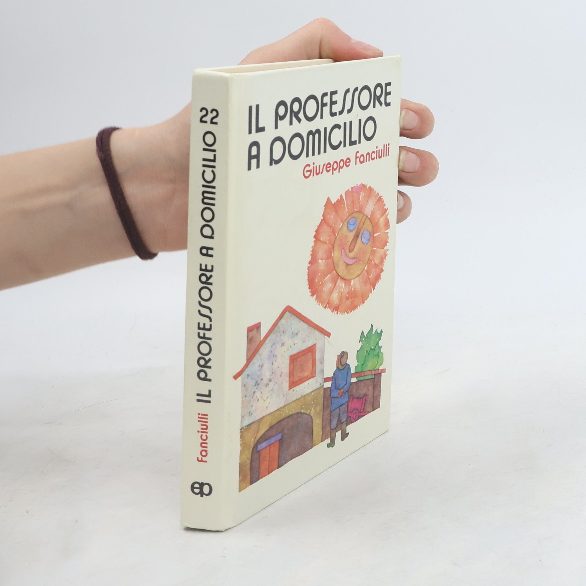 Il Professore a domicilio