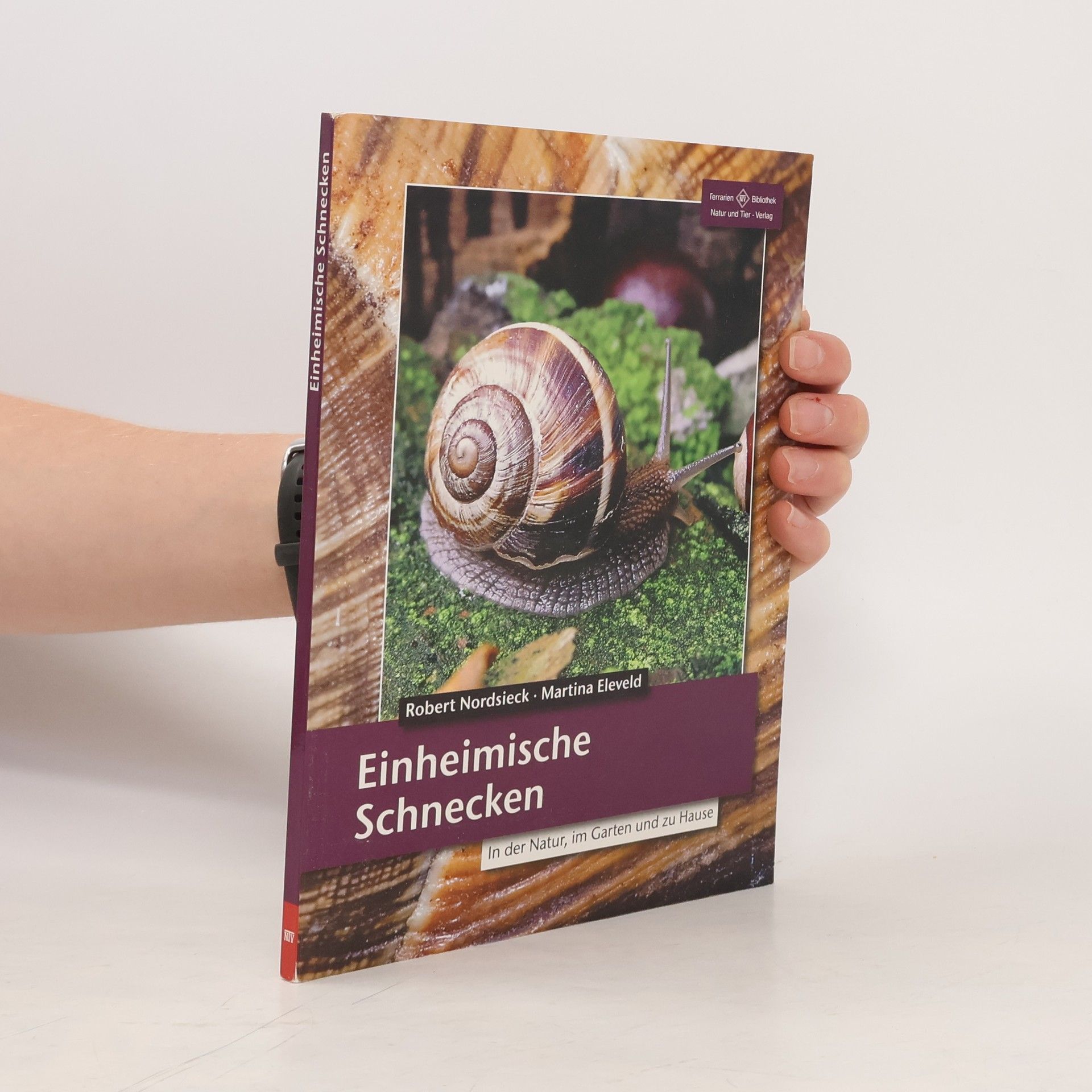 Robert Nordsieck Einheimische Schnecken