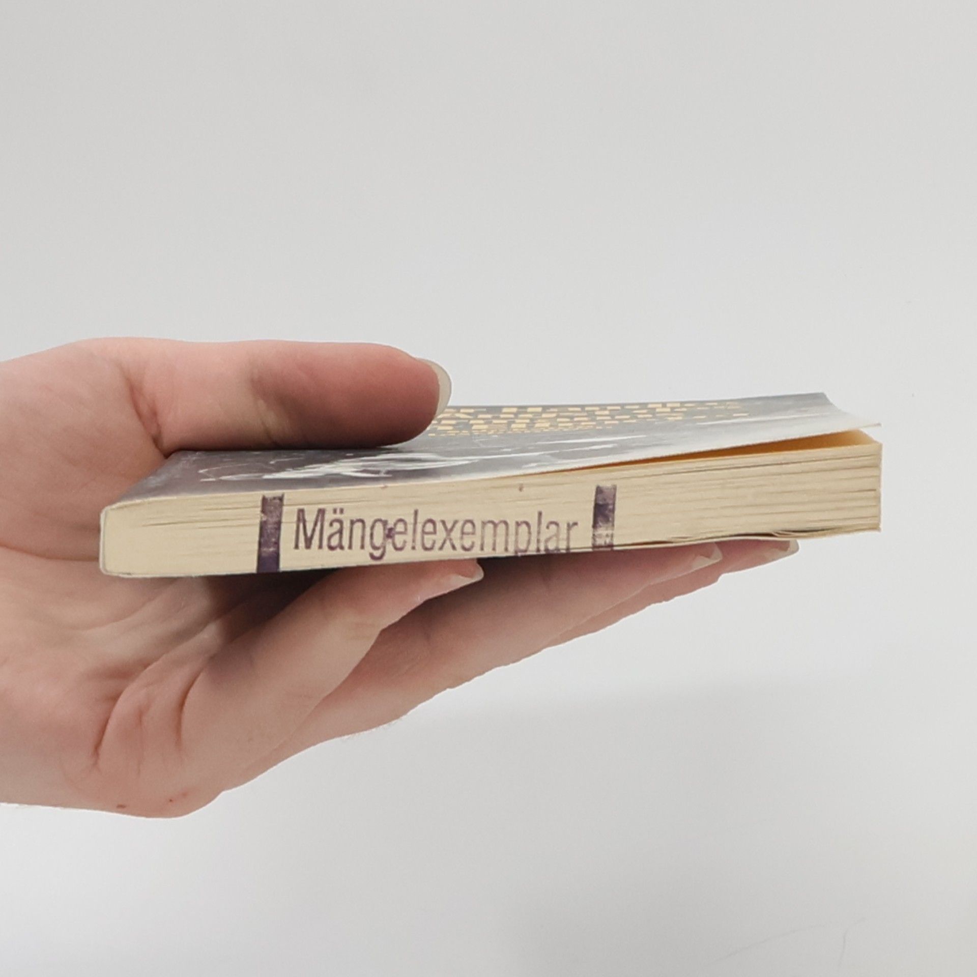 Peter Handke Die Angst des Tormanns beim Elfmeter