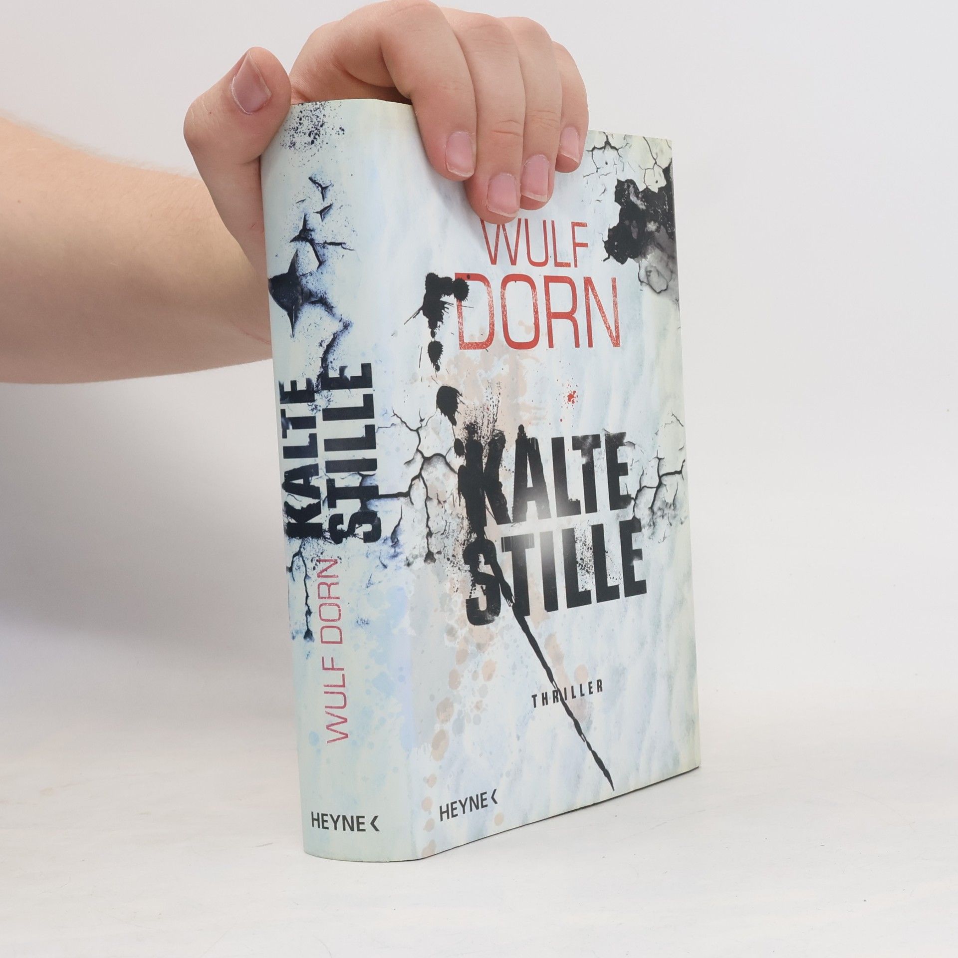 Wulf Dorn Kalte Stille