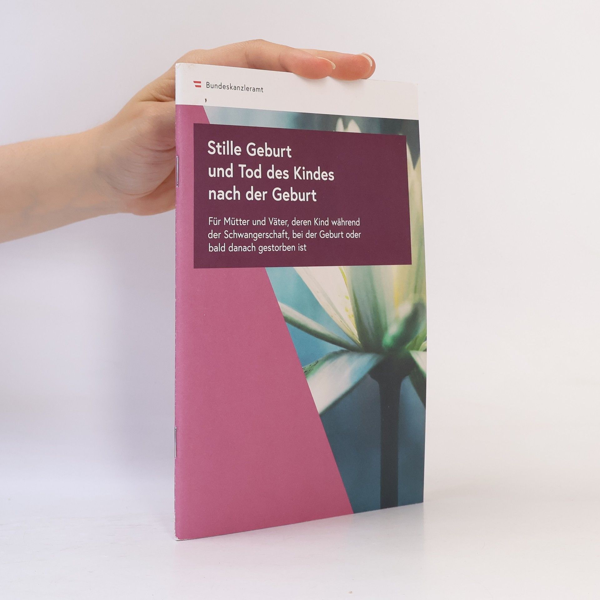 Autorenkollektiv Stille Geburt und Tod des Kindes nach der Geburt