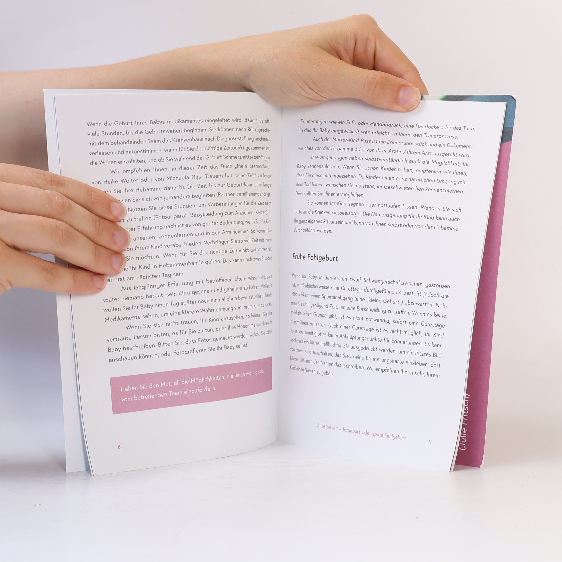 Autorenkollektiv Stille Geburt und Tod des Kindes nach der Geburt