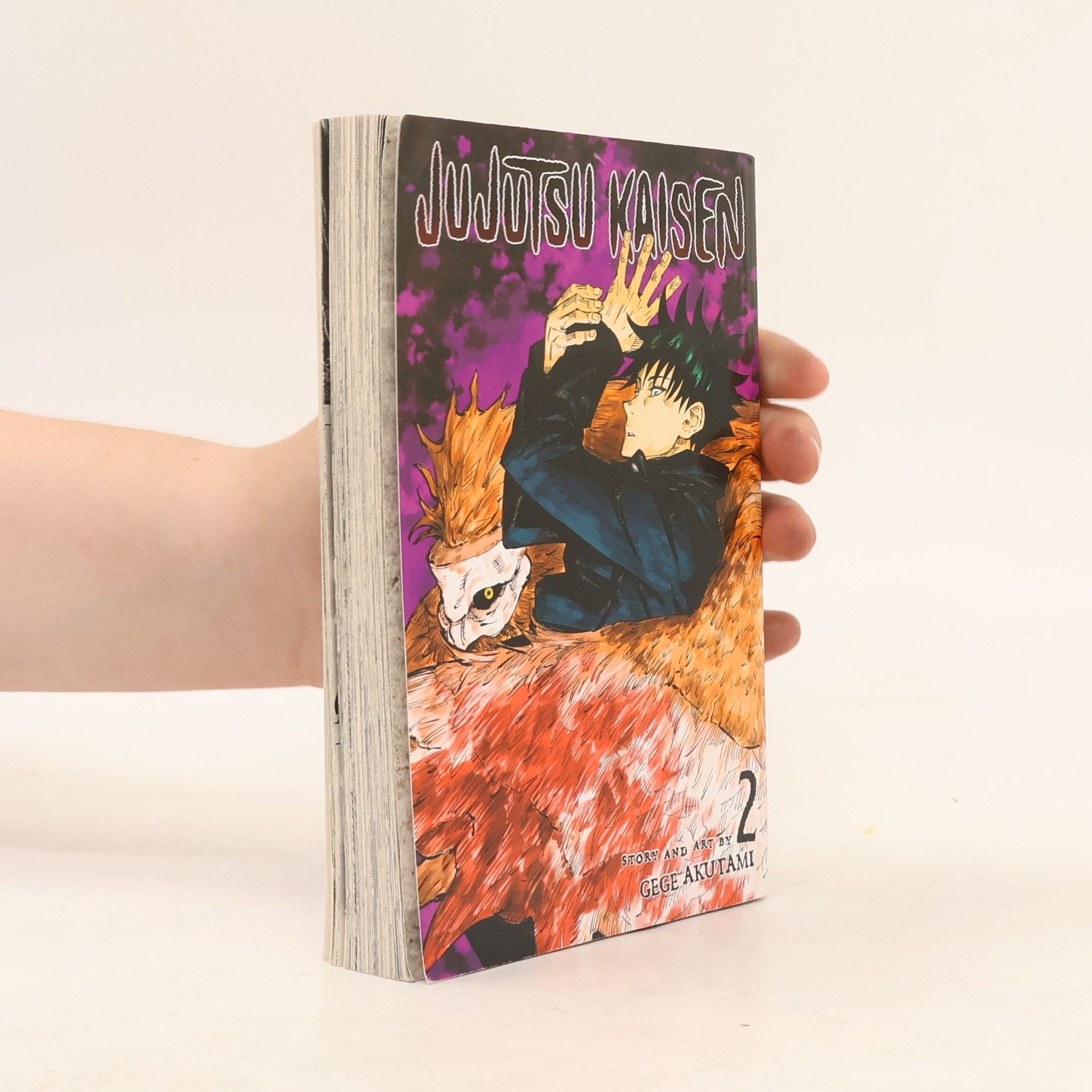 Gege Akutami Jujutsu Kaisen Volume 2