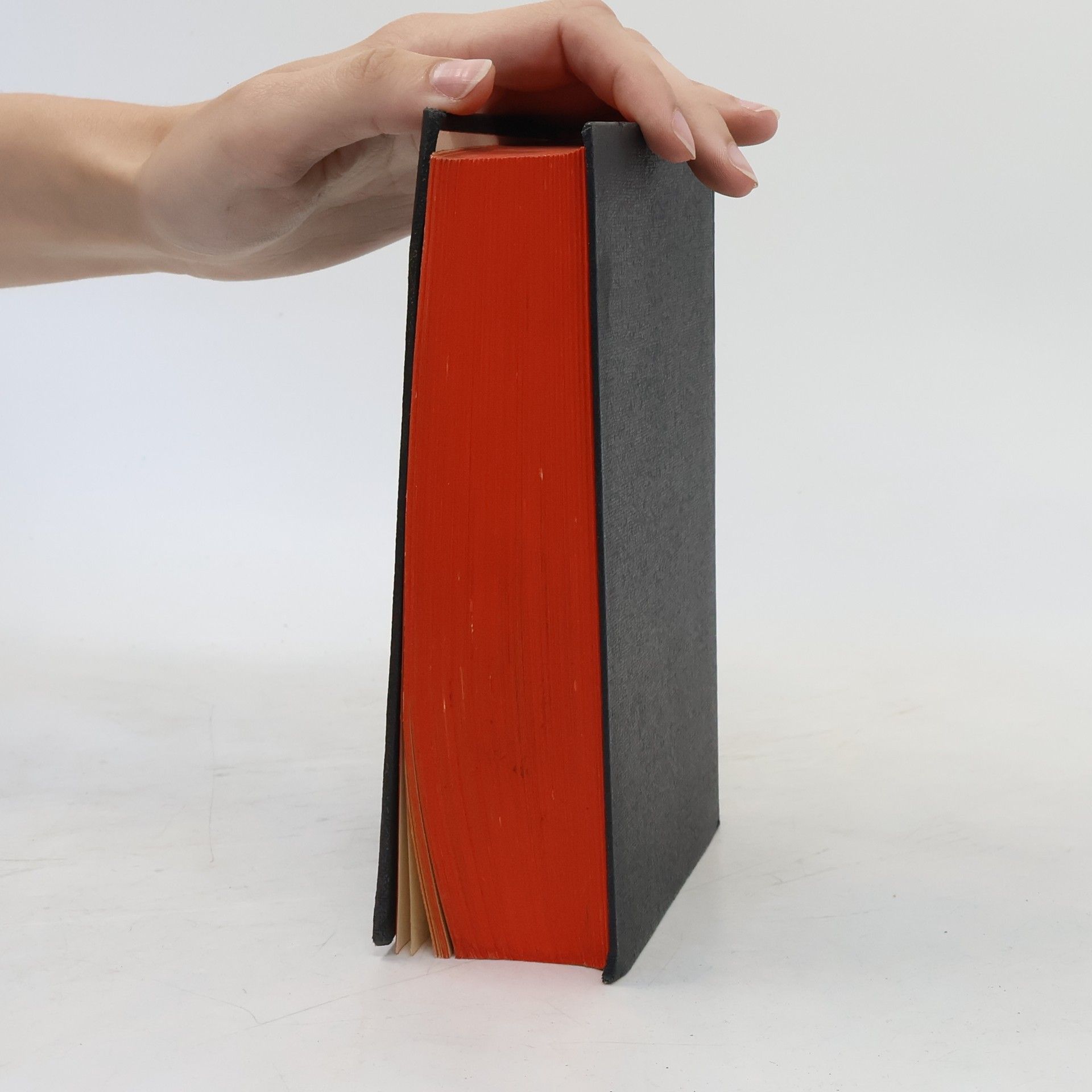 Martin Luther Die Heilige Schrift