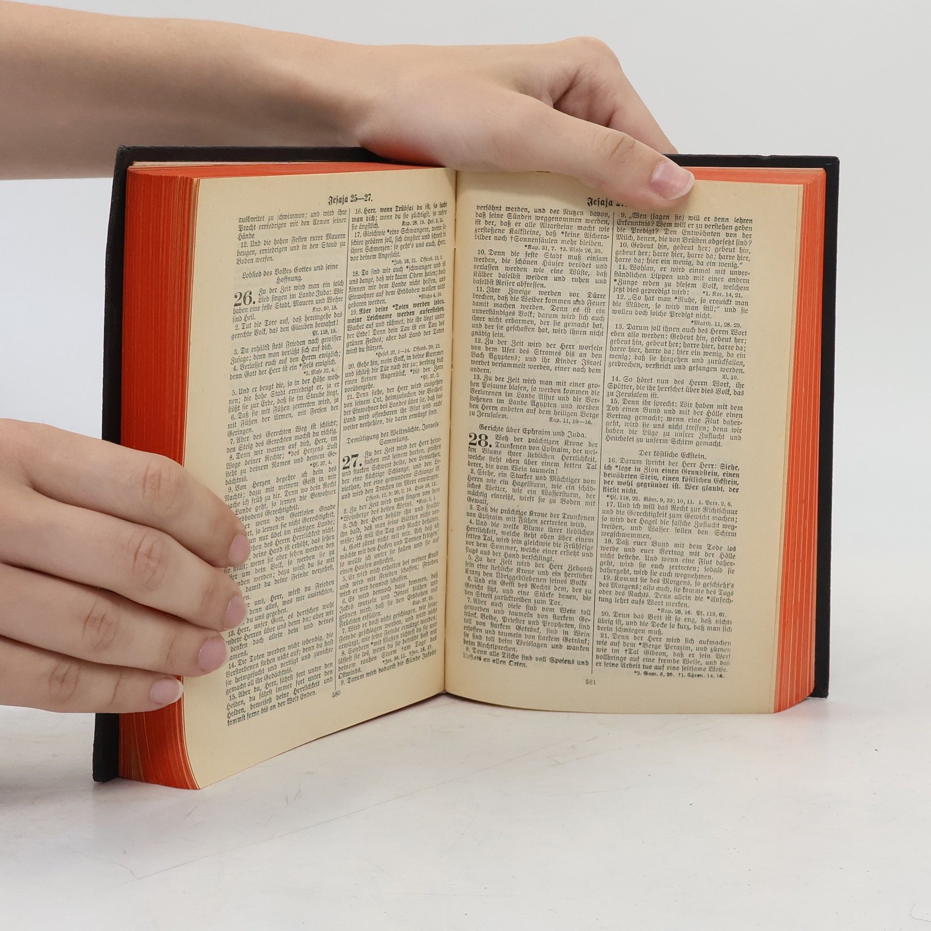Martin Luther Die Heilige Schrift