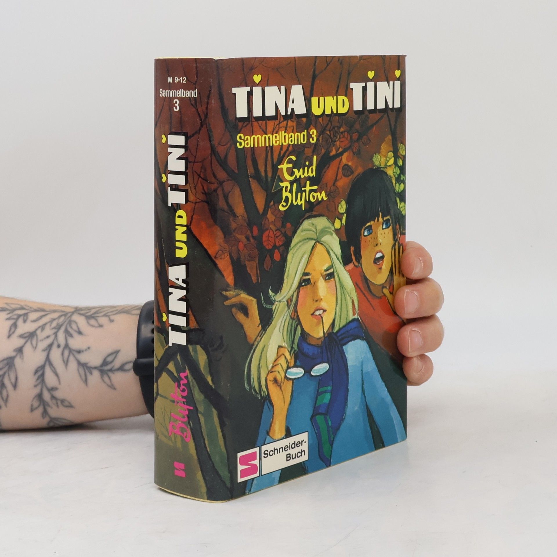Enid Blyton Tina und Tini. Sammelband 3