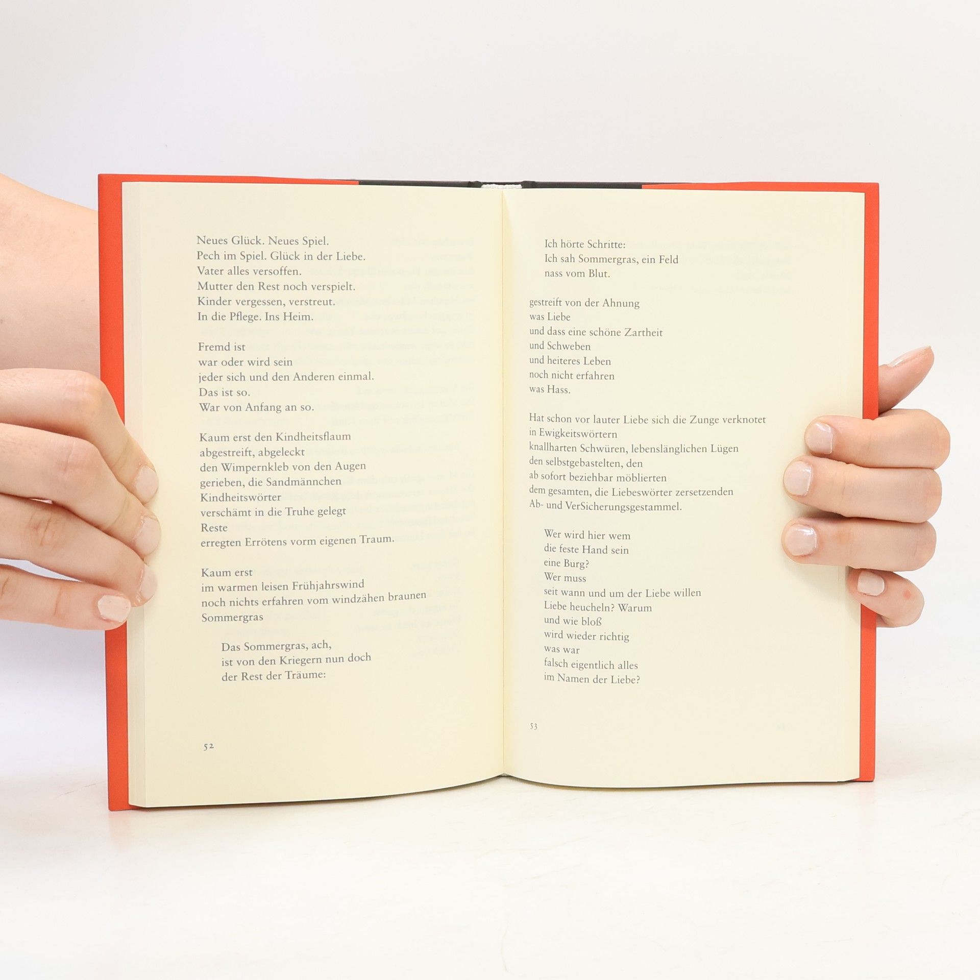 Friederike Roth Abendlandnovelle
