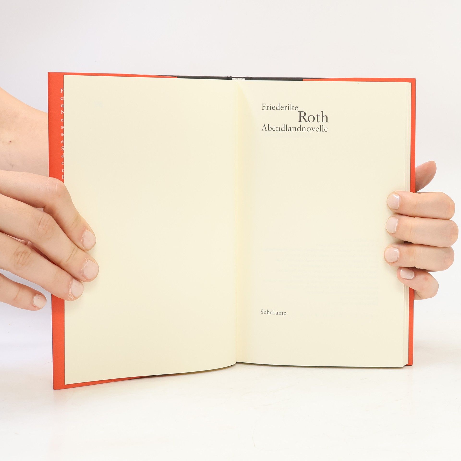 Friederike Roth Abendlandnovelle