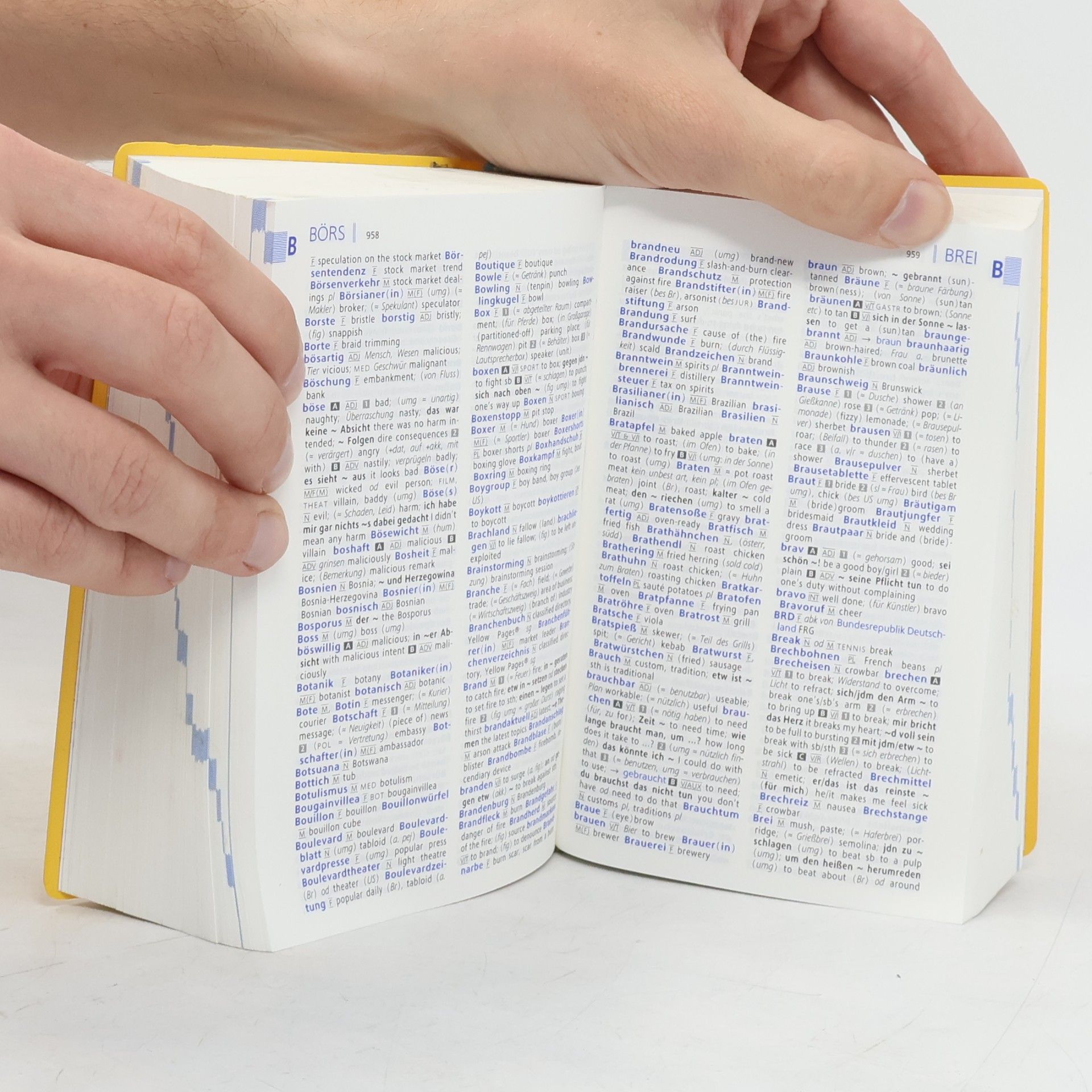 Wolfgang Walther Langenscheidt, Taschenwörterbuch Englisch