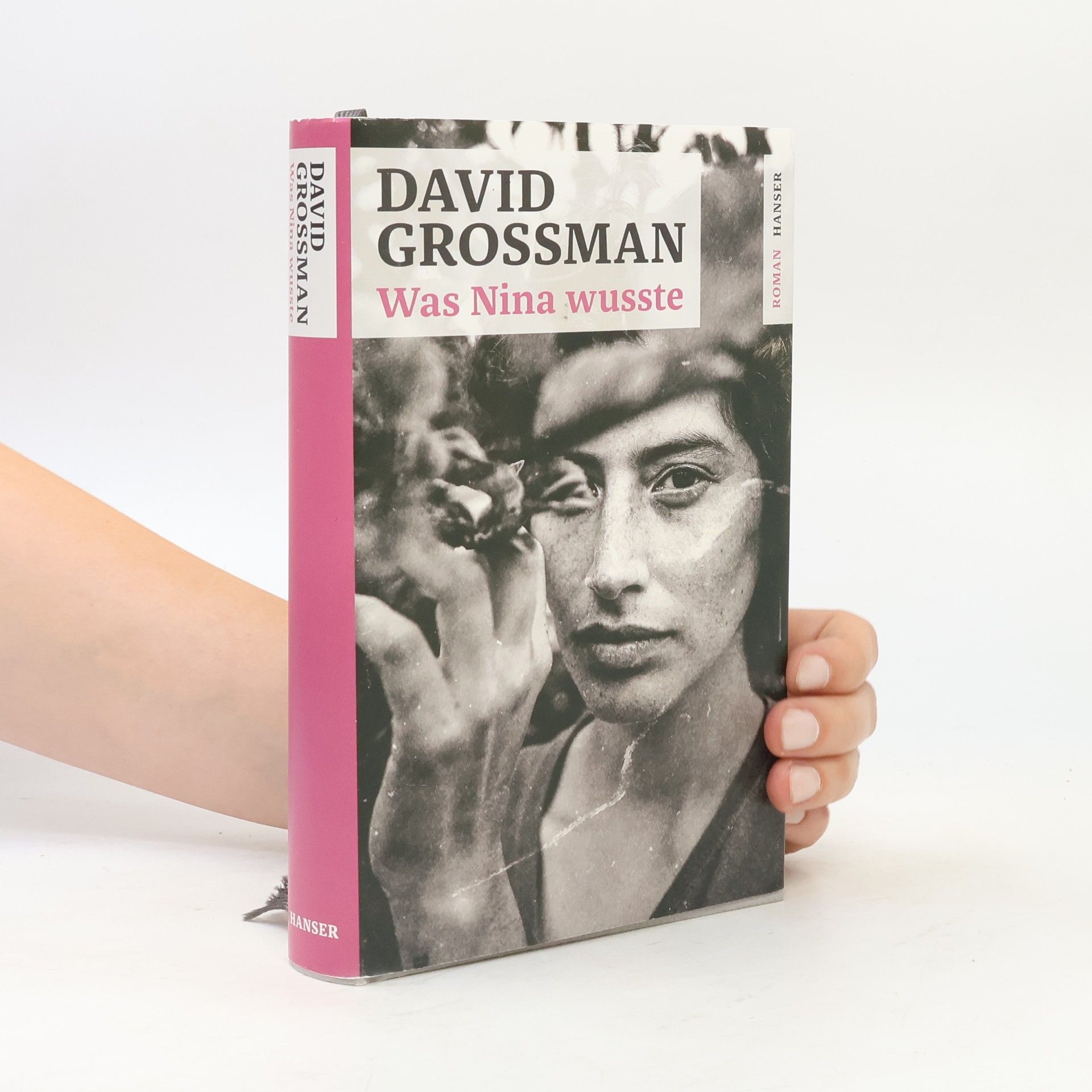 David Grossman Was Nina wusste
