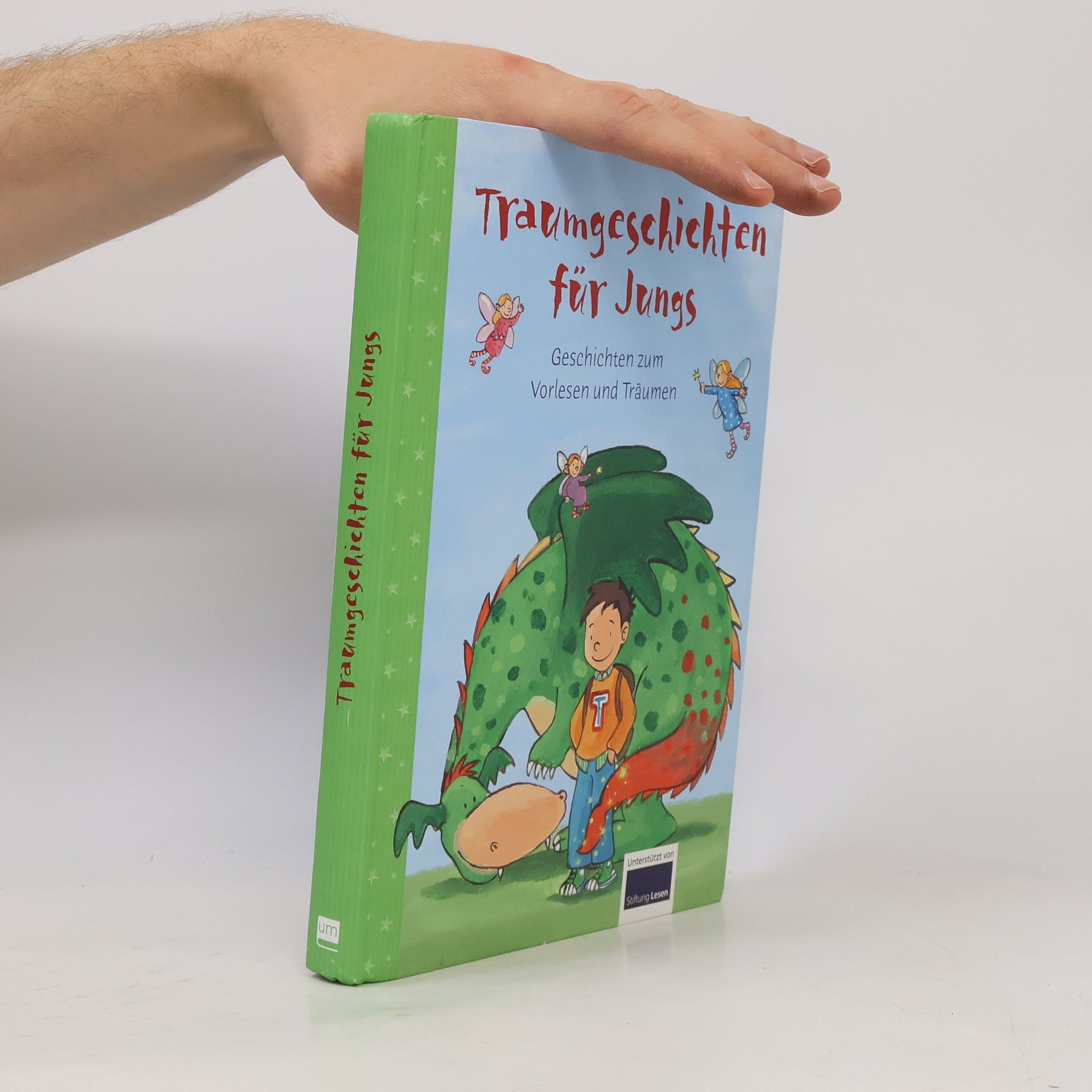 Autorenkollektiv Traumgeschichten für Jungs