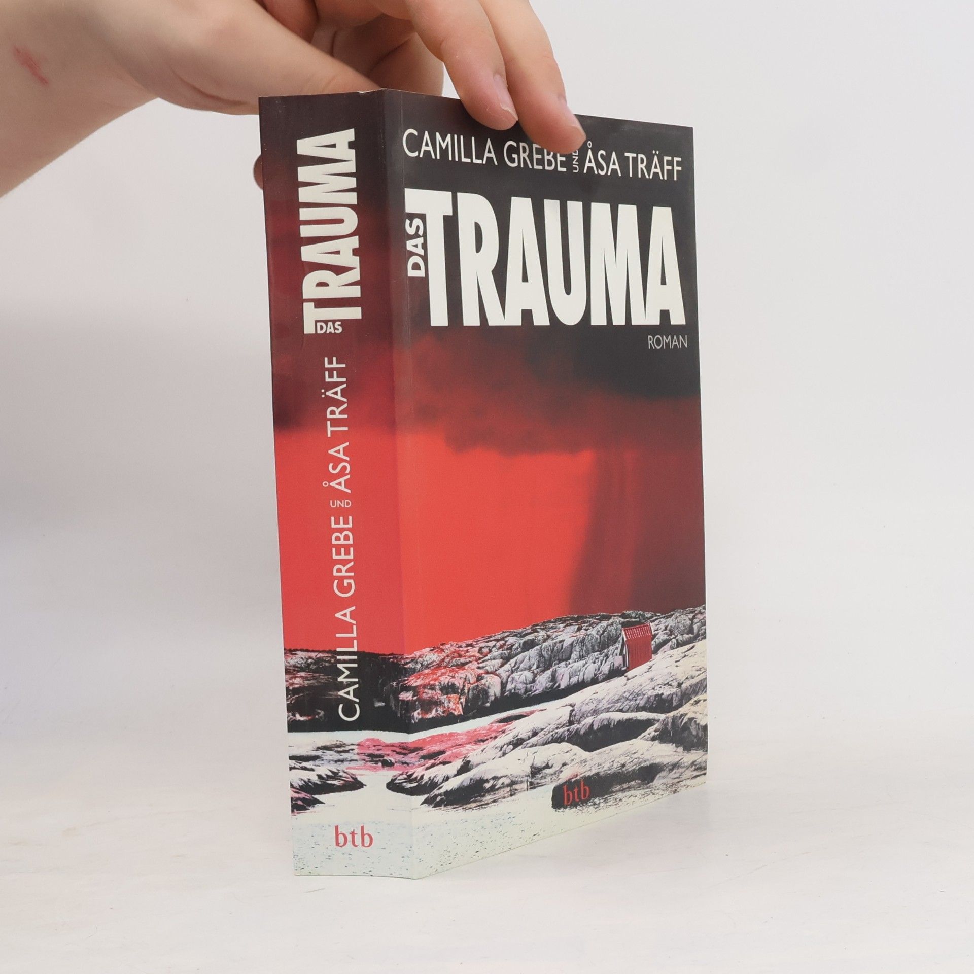 Camilla Grebe Das Trauma
