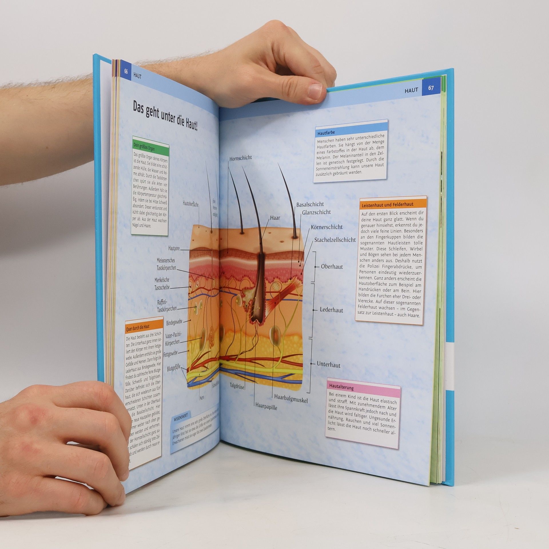 Collectif d'auteurs Mein großer Körperatlas