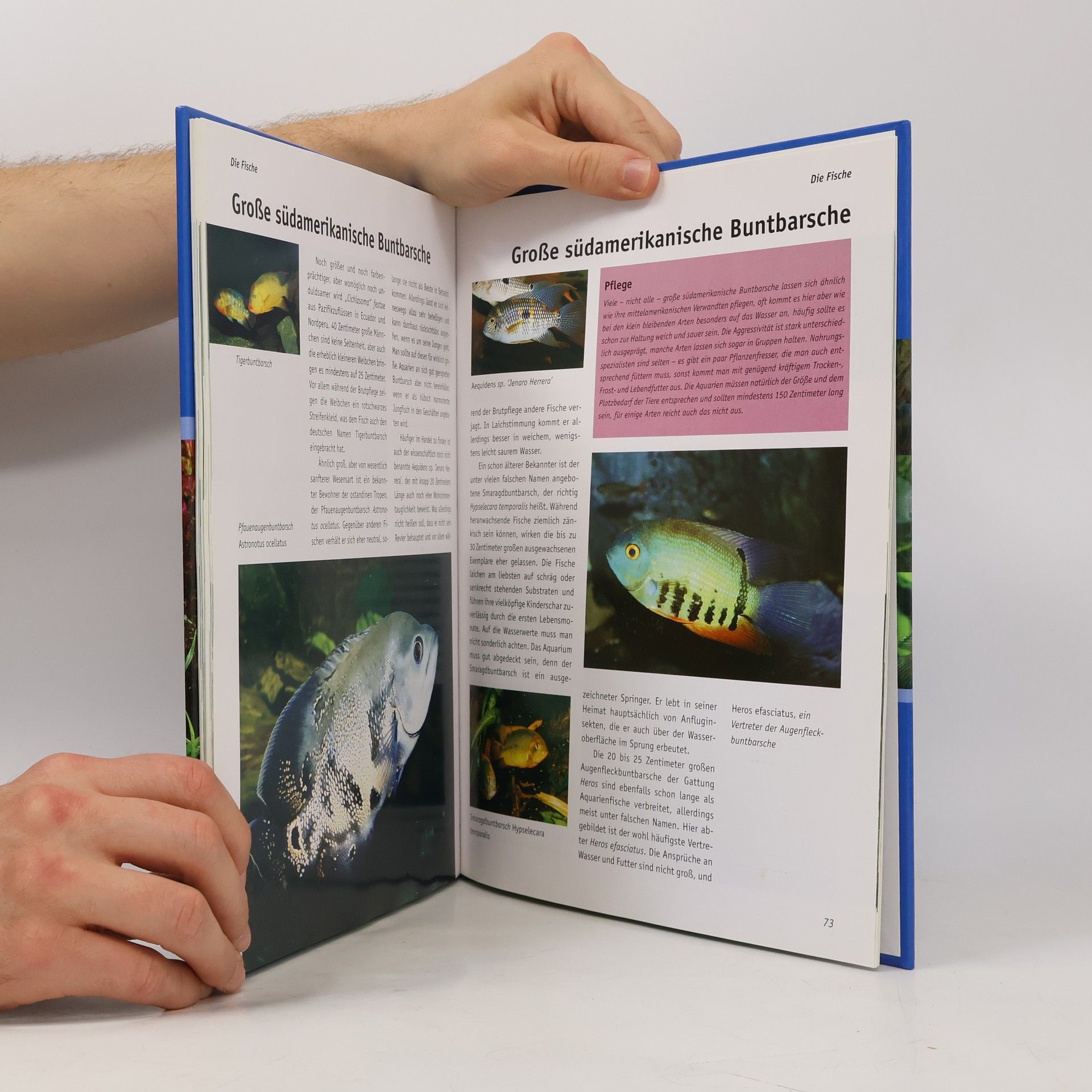 Claus Schaefer Big Atlas of Aquarium Fish
