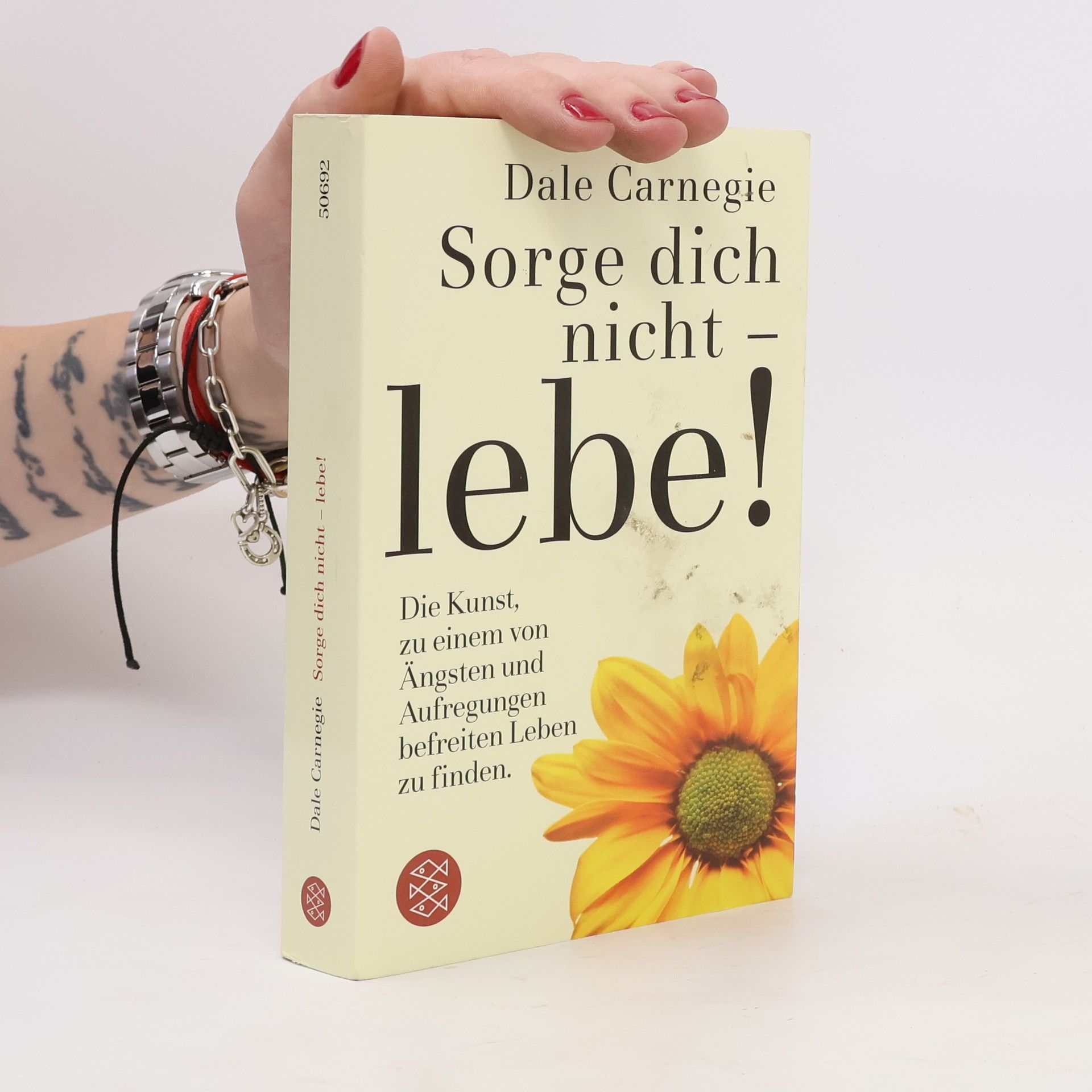 Dale Carnegie Sorge dich nicht - lebe!