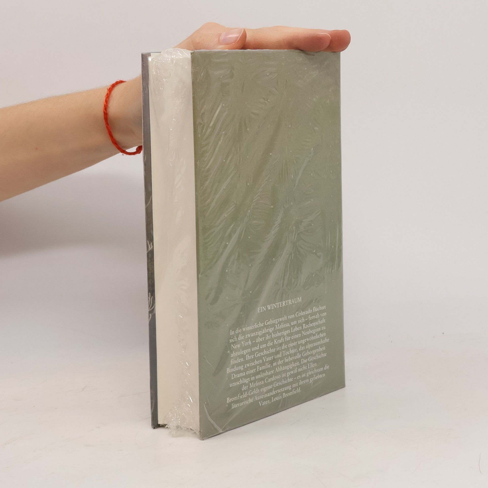 Ellen Bromfield Geld Ein Wintertraum