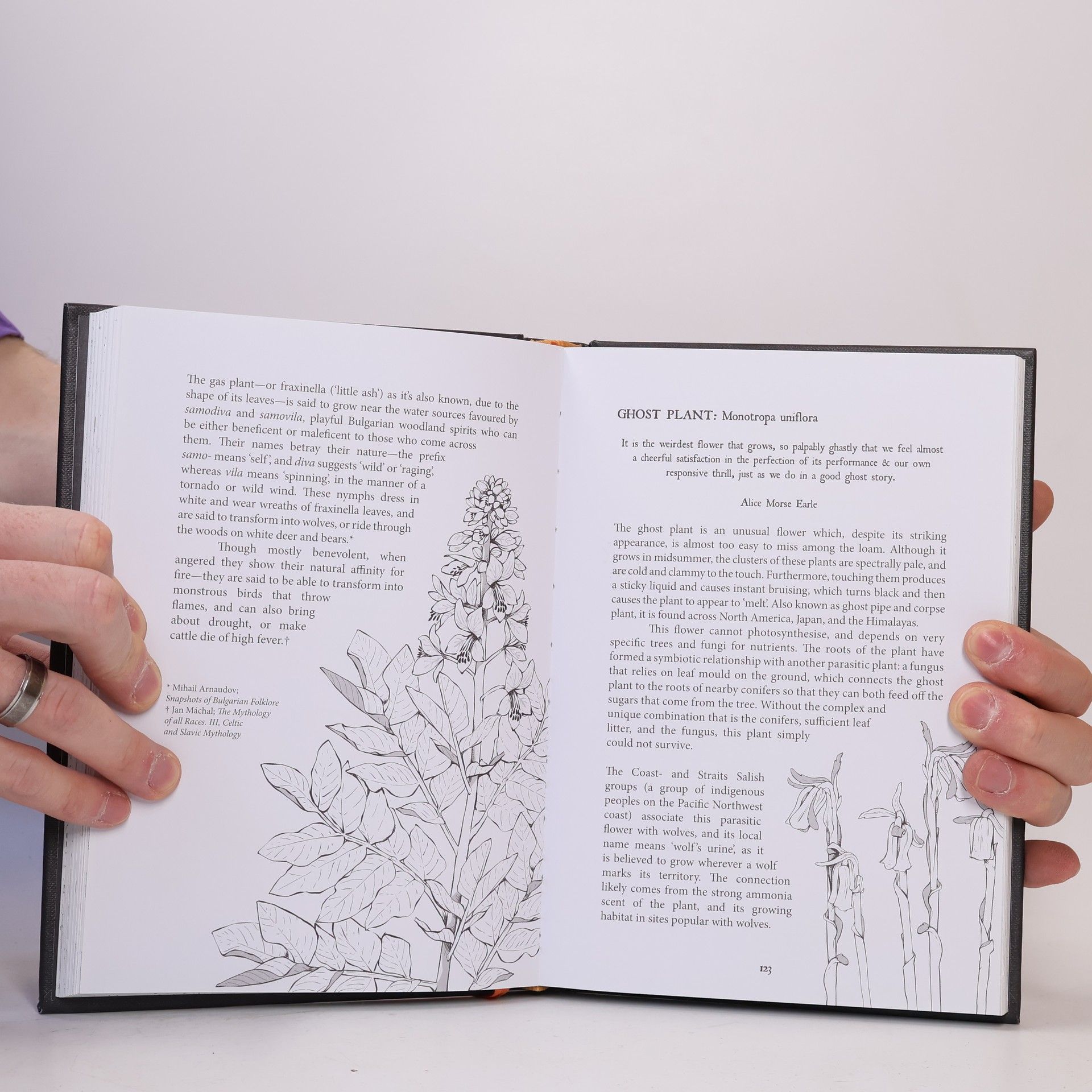 Fez Inkwright Botanical Curses and Poisons