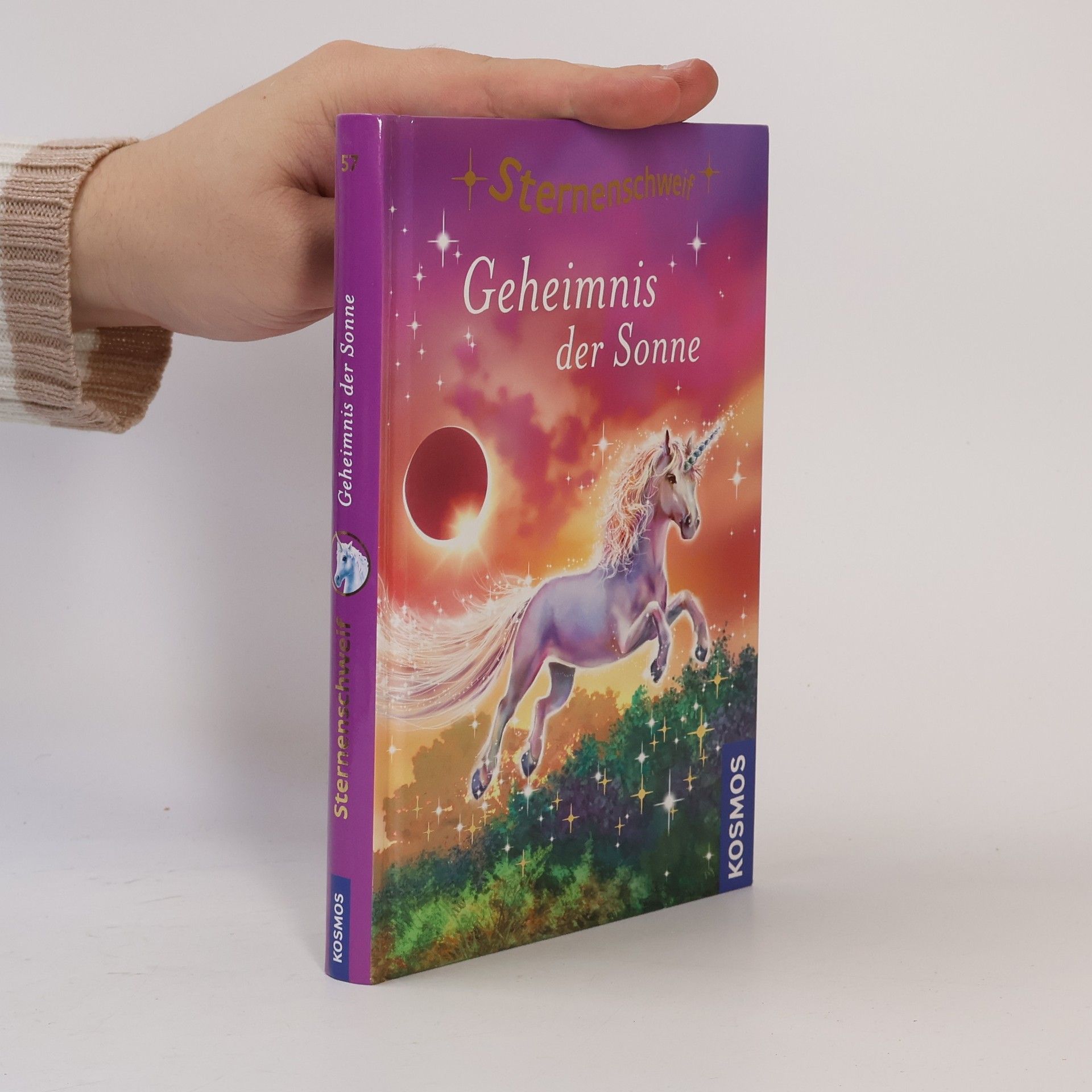 Anne Scheller Geheimnis der Sonne